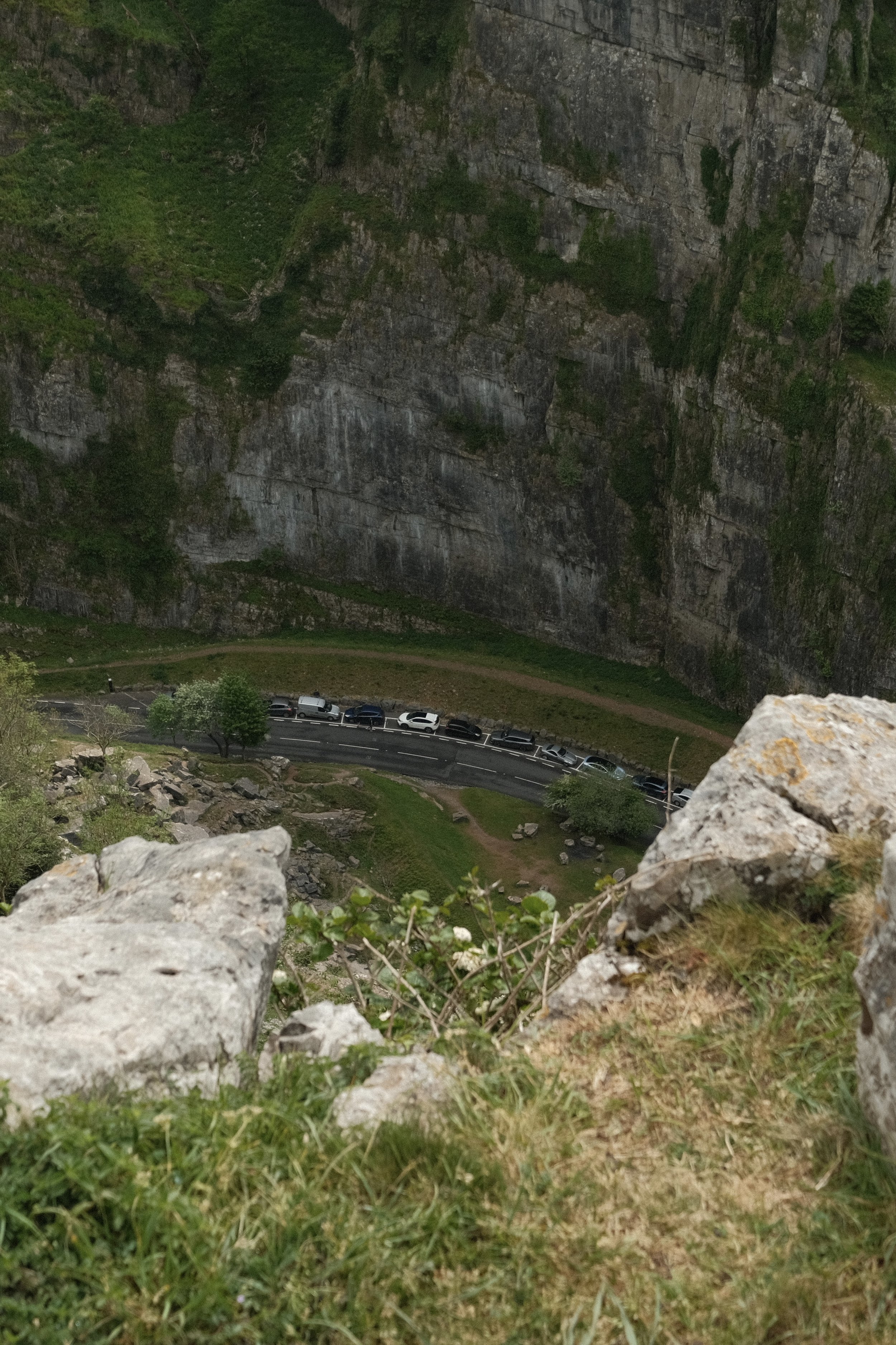 View of a large rocky cliff face with patches of green vegetation, a small parking lot with cars, and a grassy area with trees at the bottom of the image.