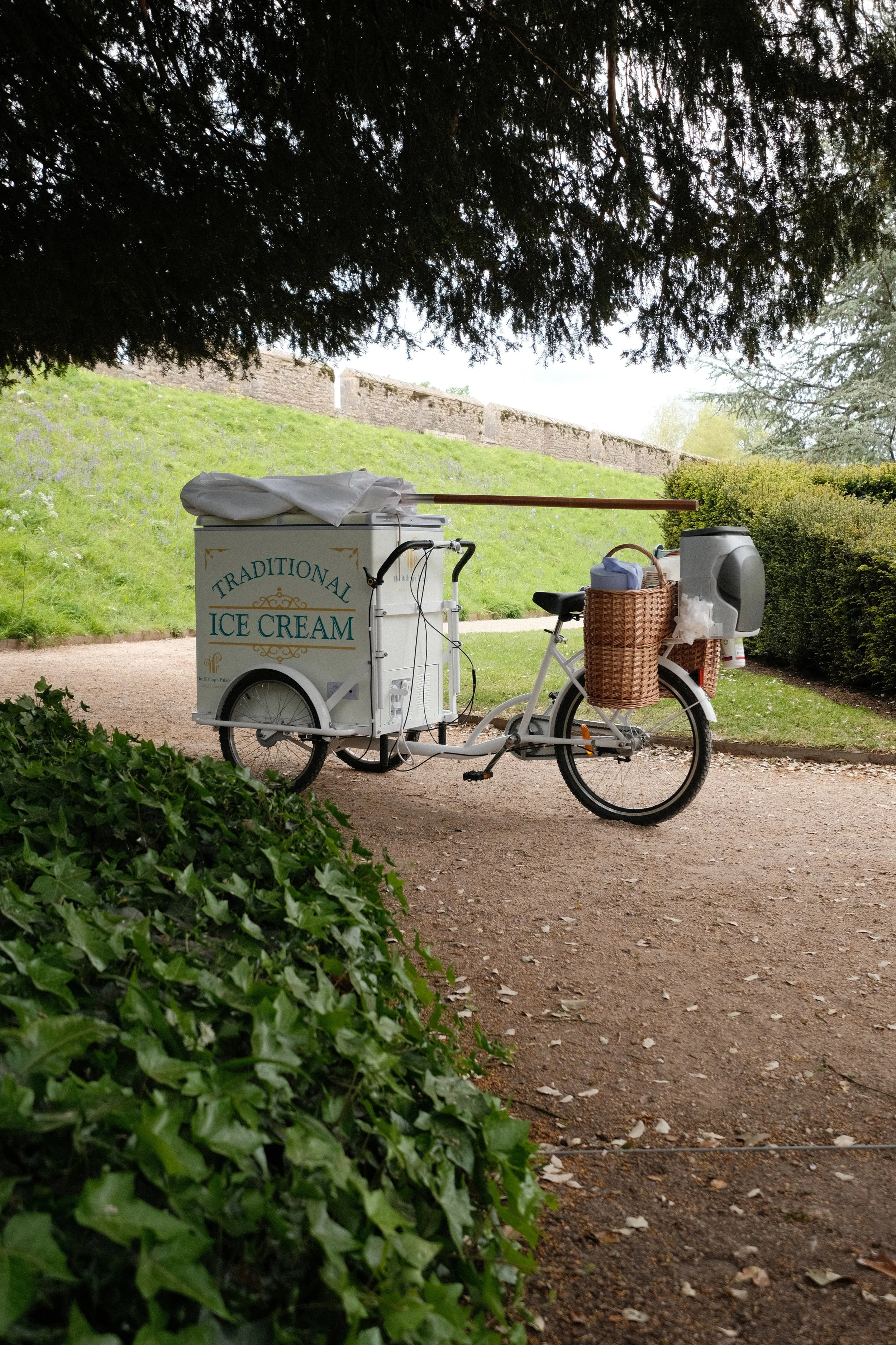 A white ice cream bicycle cart with a sign that reads "Traditional Ice Cream" is parked on a dirt pathway under a large tree. The bicycle has a wicker basket attached with a bag inside. In the background, there is a grassy hill with a stone wall at t