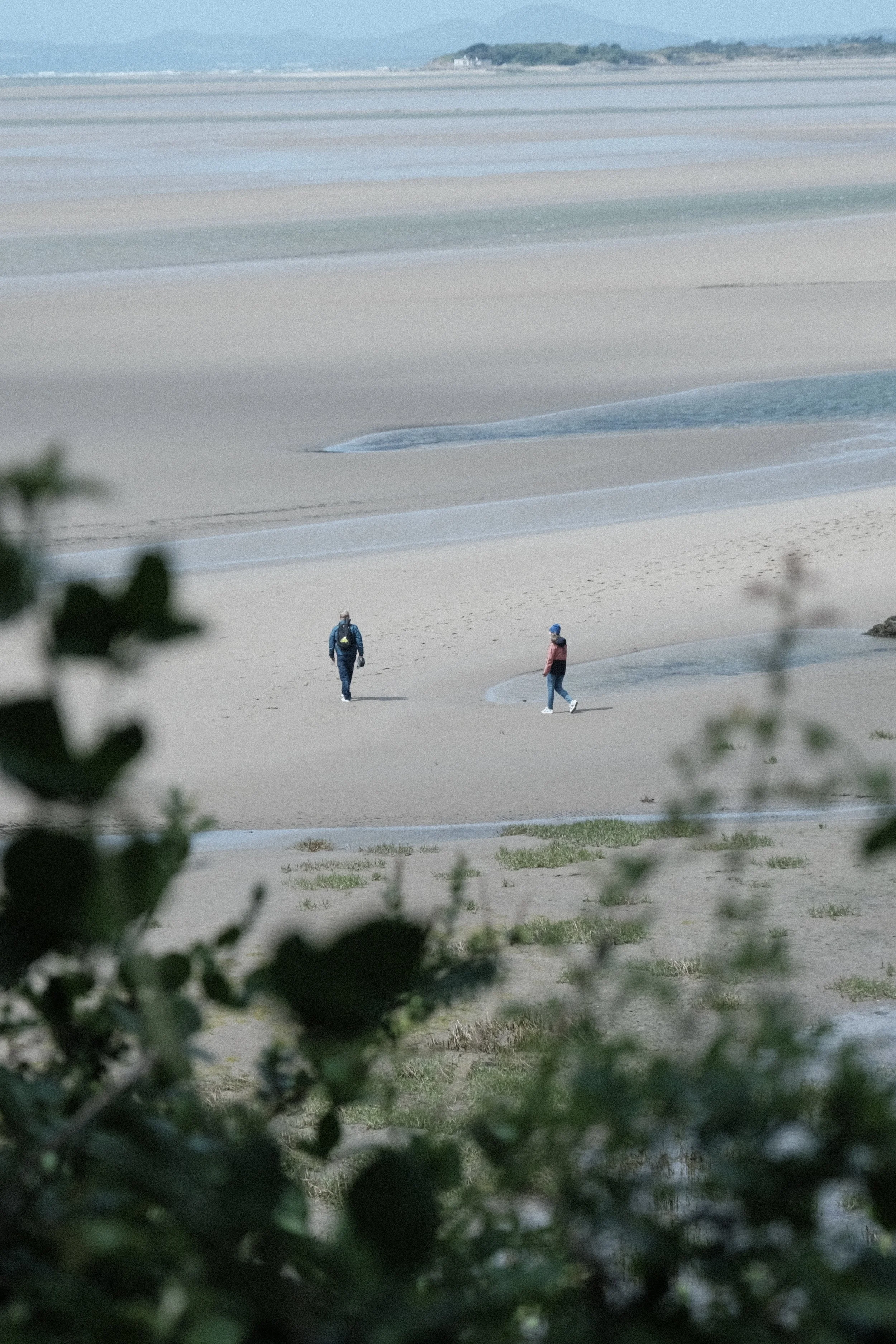 Two people walking along a sandy beach with ocean waves and distant land in the background, framed by blurred green leaves in the foreground.