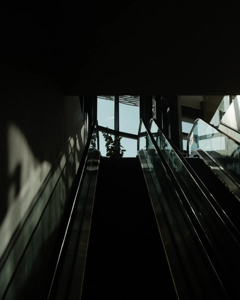 Dark indoor escalator leading towards large window with visible sky and a plant in the background.