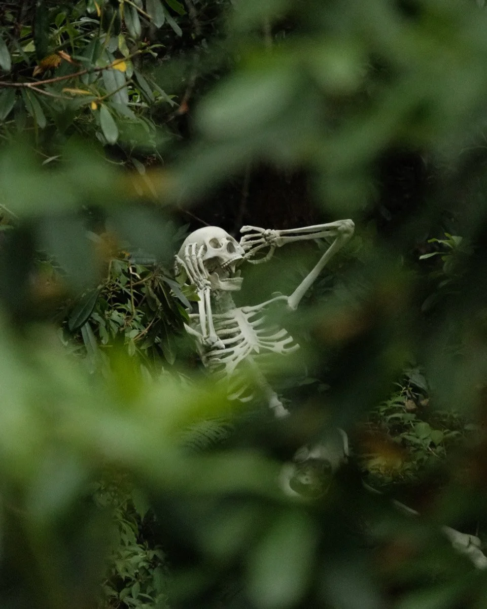 A skeleton lying among green bushes and leaves, with its head tilted back and arms raised to its head.