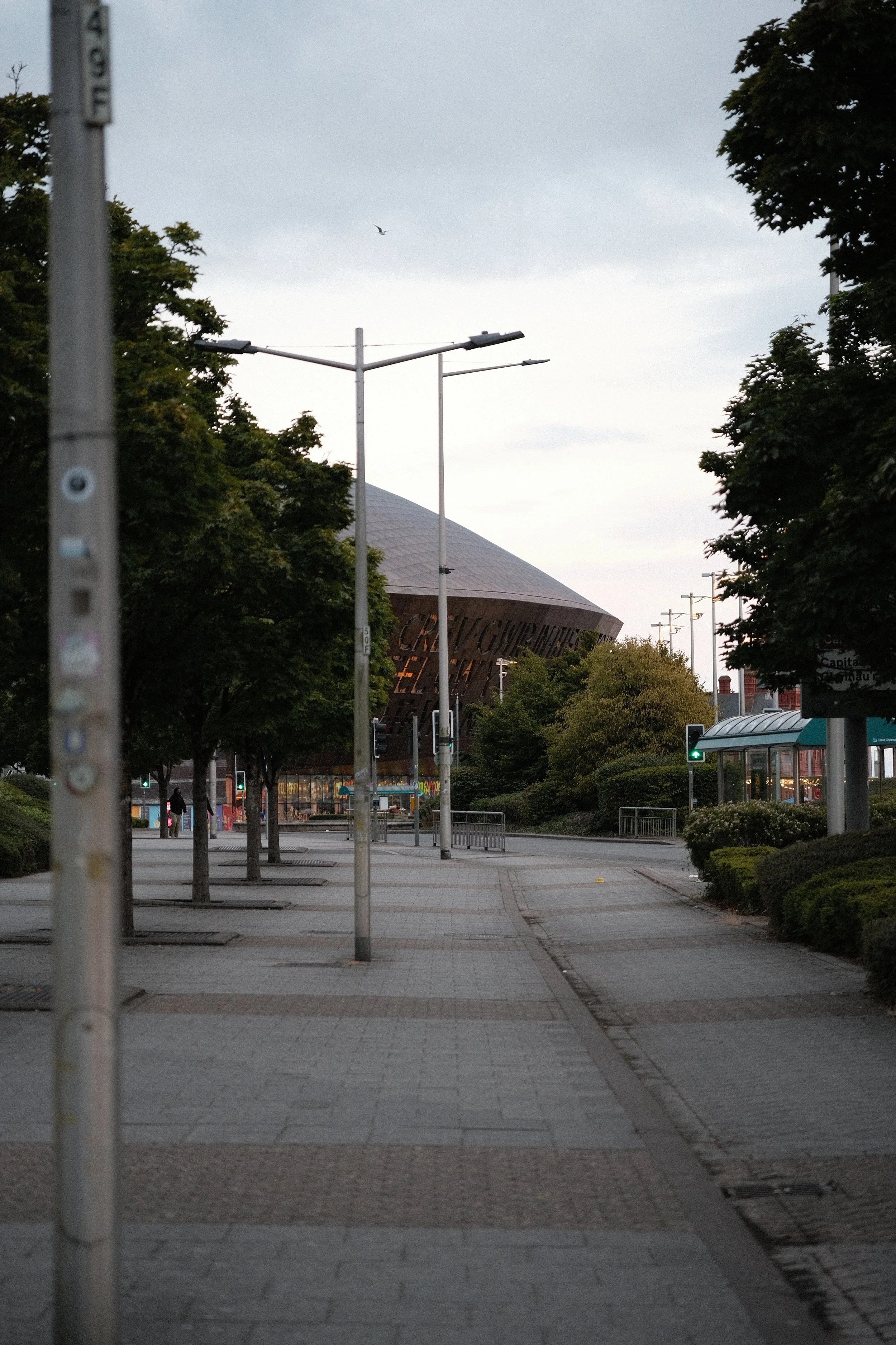 Empty city sidewalk with trees on either side, streetlights, and a modern building in the background during dusk or early evening.