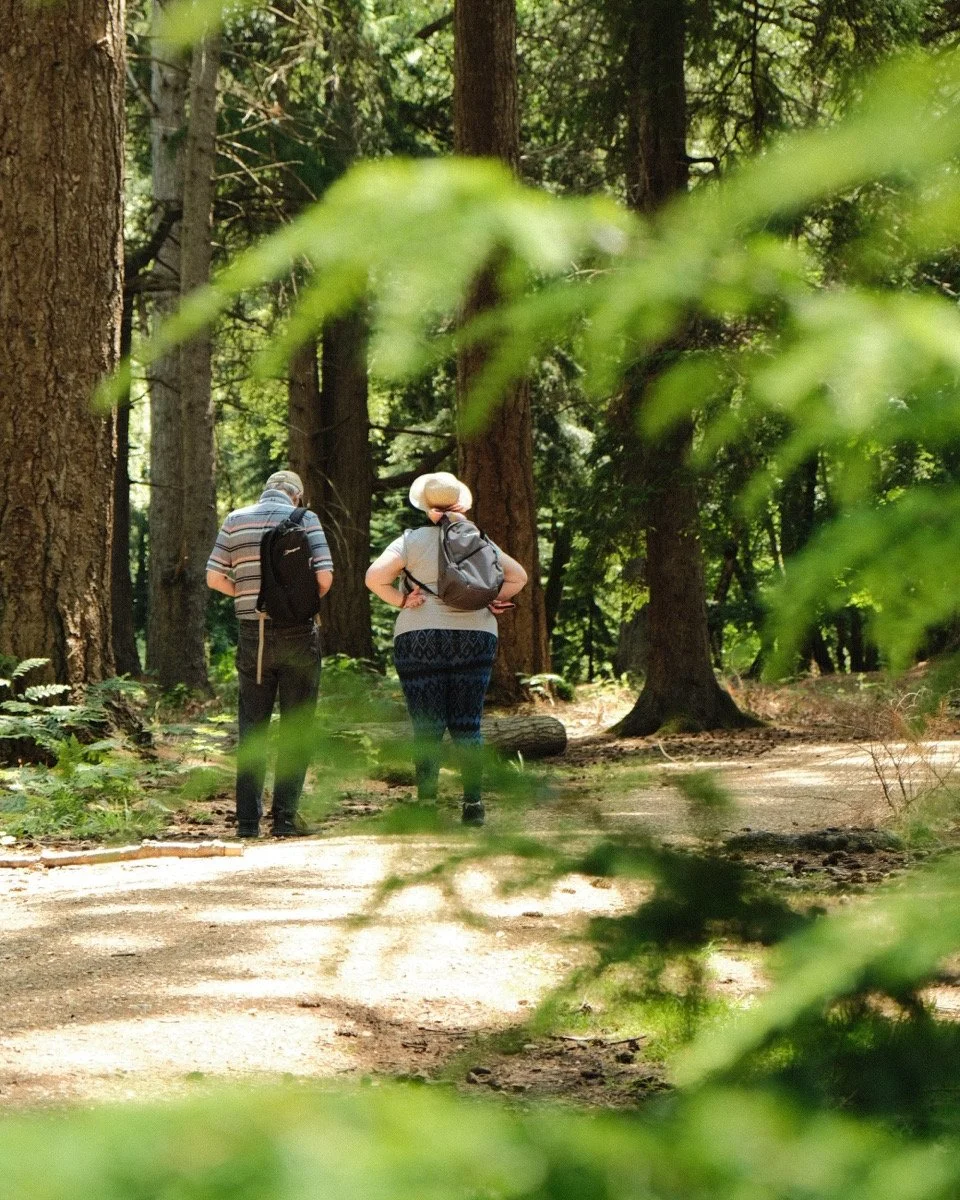 Two people walking along a forest trail with tall trees and green foliage, seen through blurred leaves in the foreground.