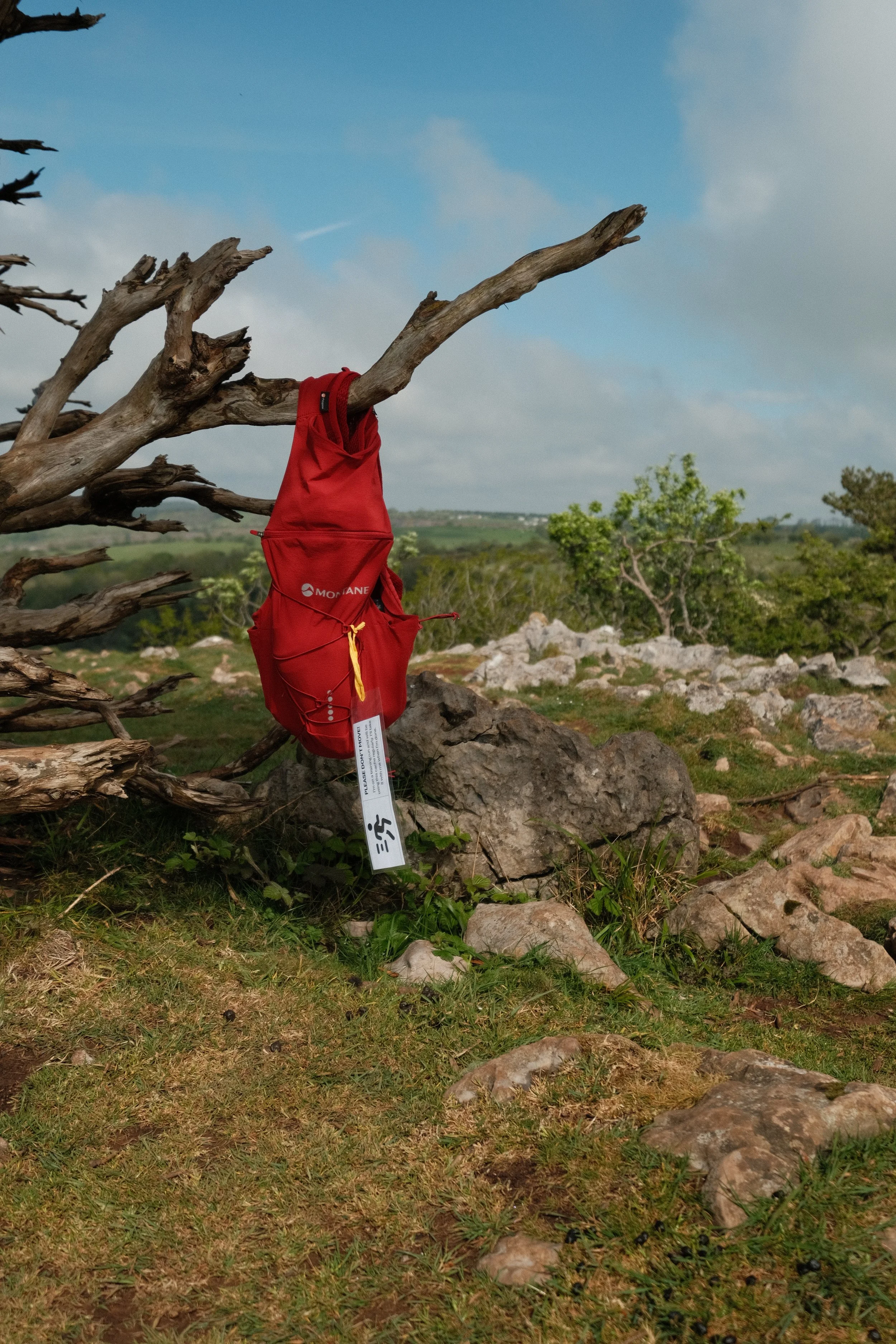 A red backpack hanging on a dead tree branch, with a landscape of green trees, rocks, and a partly cloudy sky in the background.