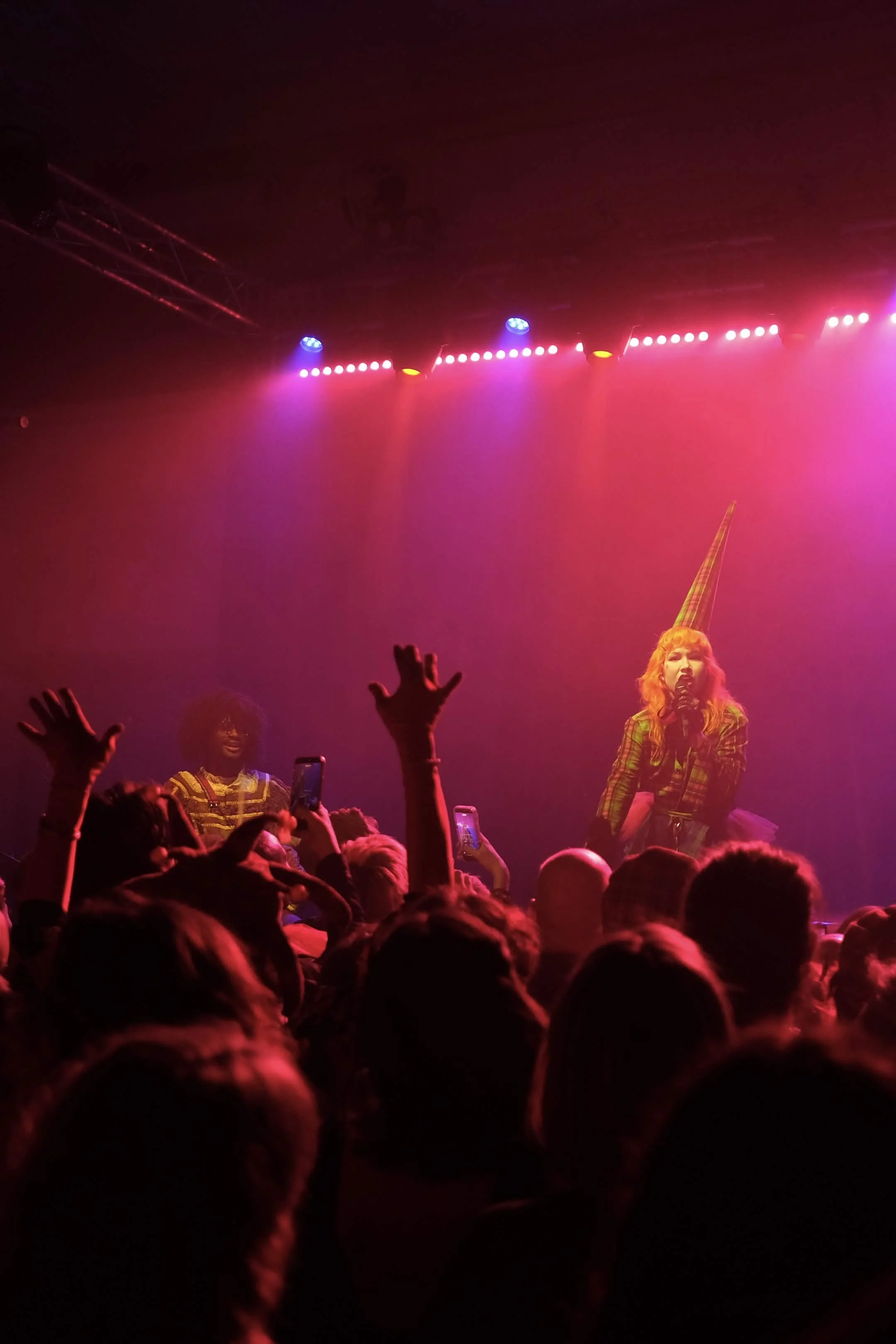 A concert scene with vibrant pink and purple stage lighting, a woman with a unicorn horn headpiece and plaid outfit singing or speaking to the audience, surrounded by silhouetted crowd members with raised hands and smartphones.