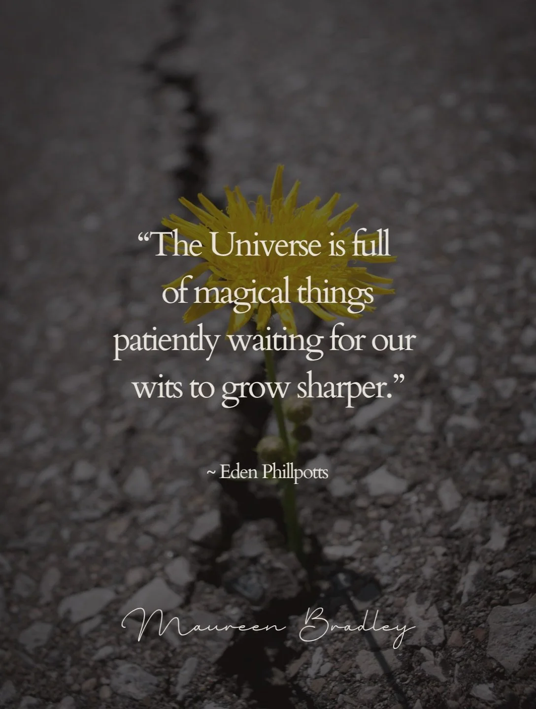 There is so much more to discover when we slow down, pay attention, and become willing to see things differently.

The answers we&rsquo;re looking for aren&rsquo;t always obvious. 

Sometimes they&rsquo;re found in the quiet moments, in nature, in th
