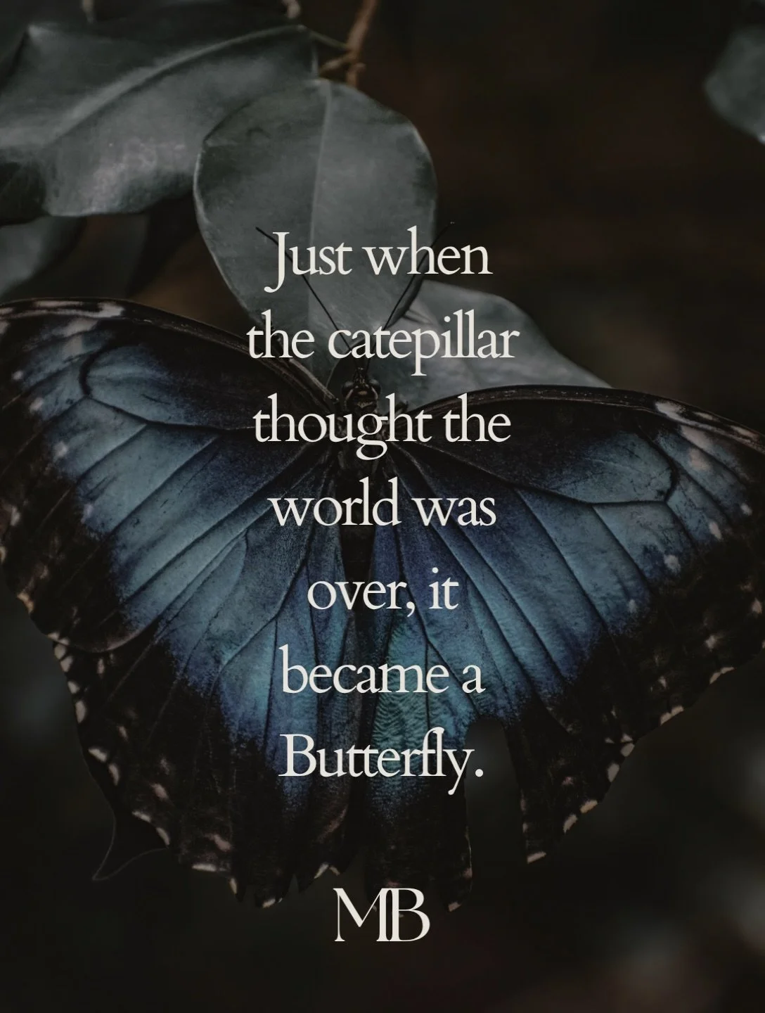 Sometimes, what feels like the end is simply a part of your becoming.

There are seasons in life when nothing makes sense. When the old version of you no longer fits, the path ahead feels uncertain, and you wonder if things will ever feel right again