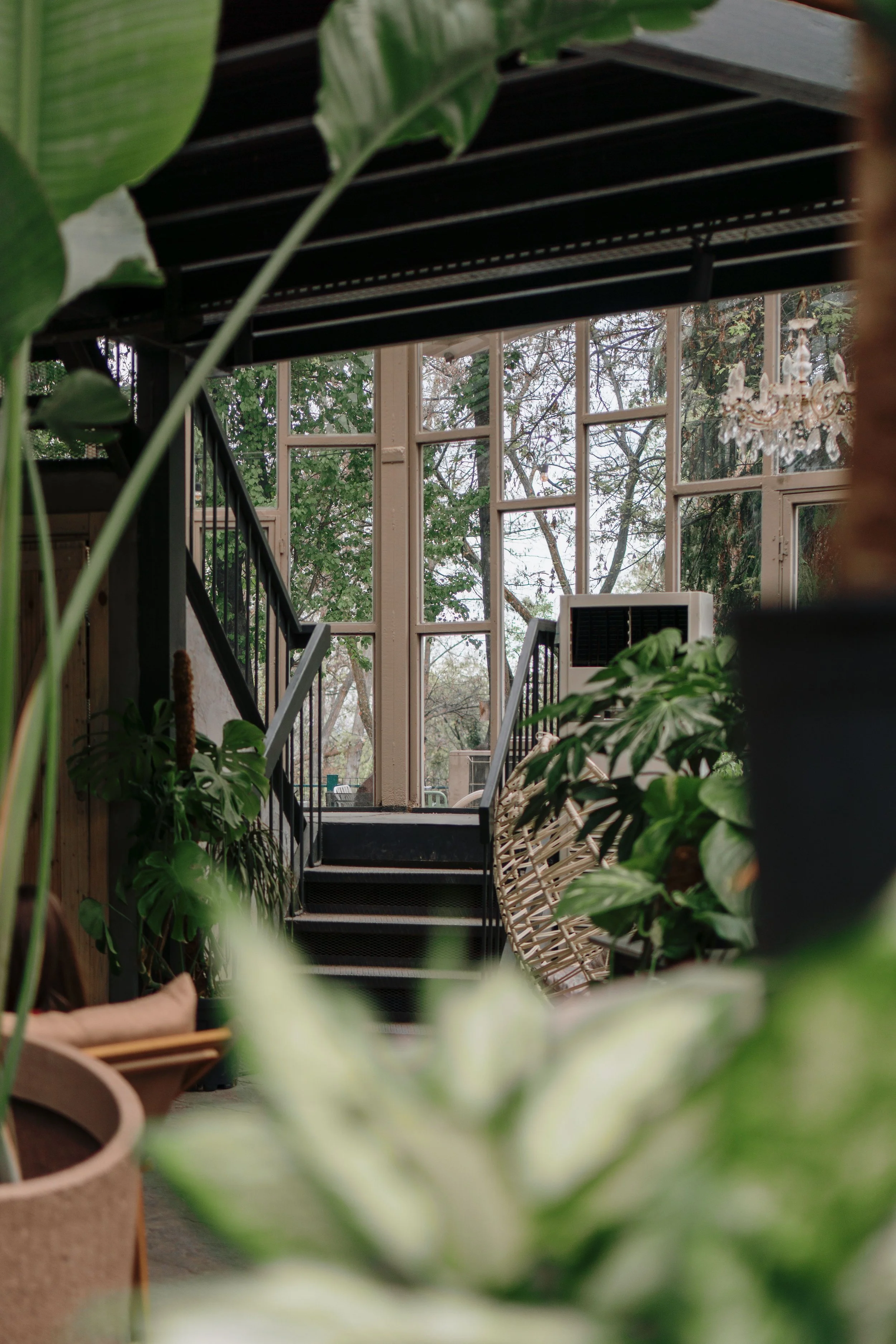 Interior view of a house with large windows, stairs, plants, and chandelier.