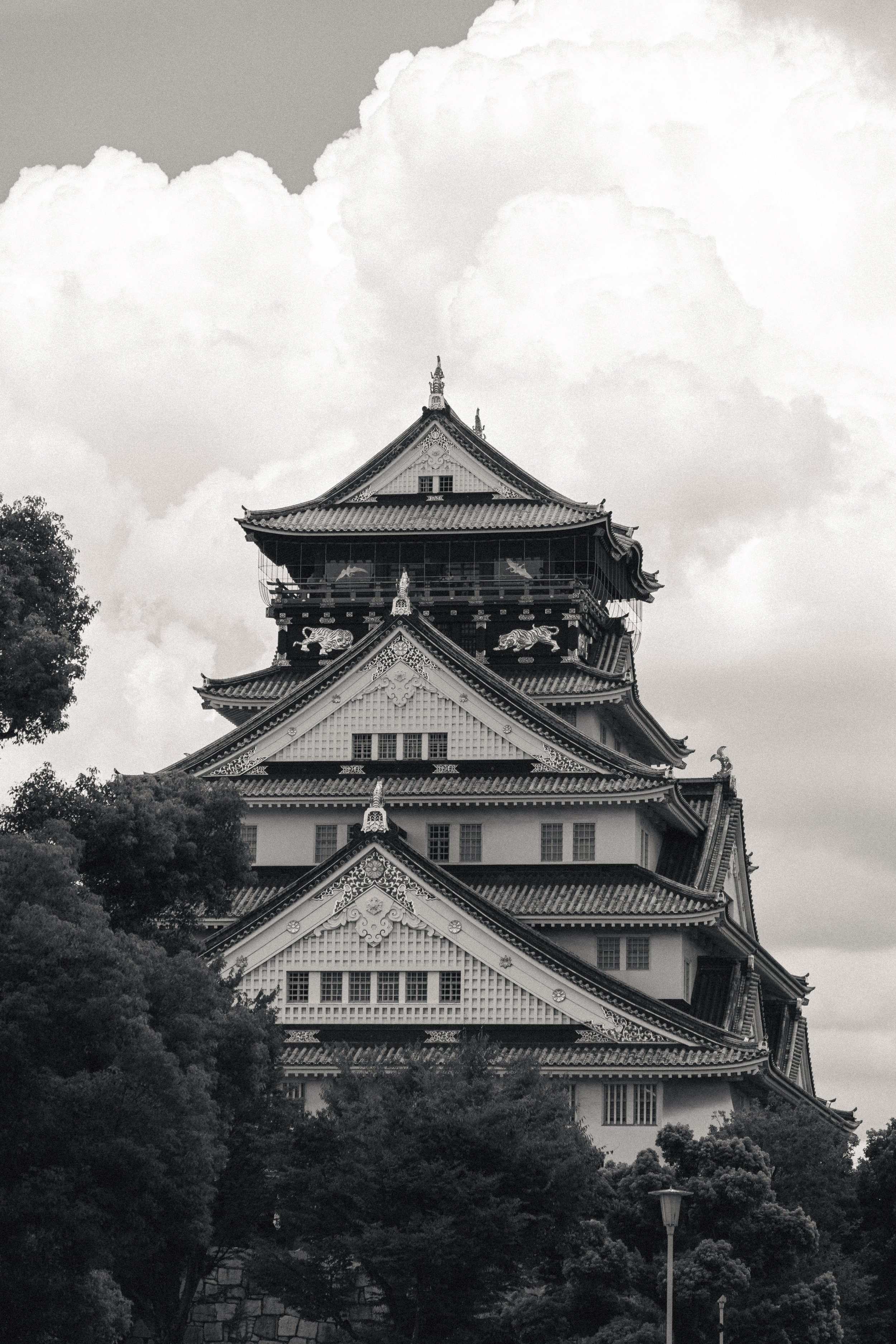 Castle-Ronin.jpg