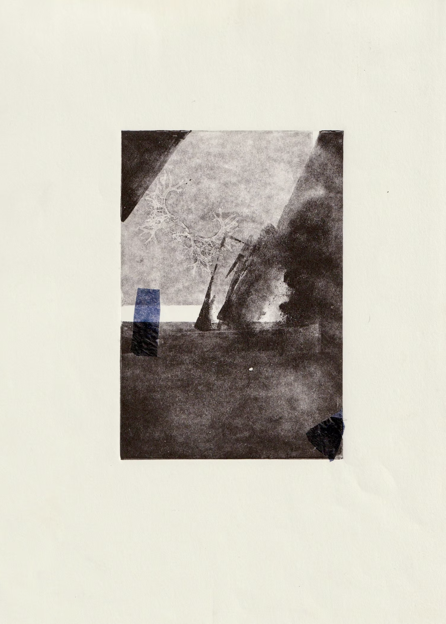 Bleu • Monotype