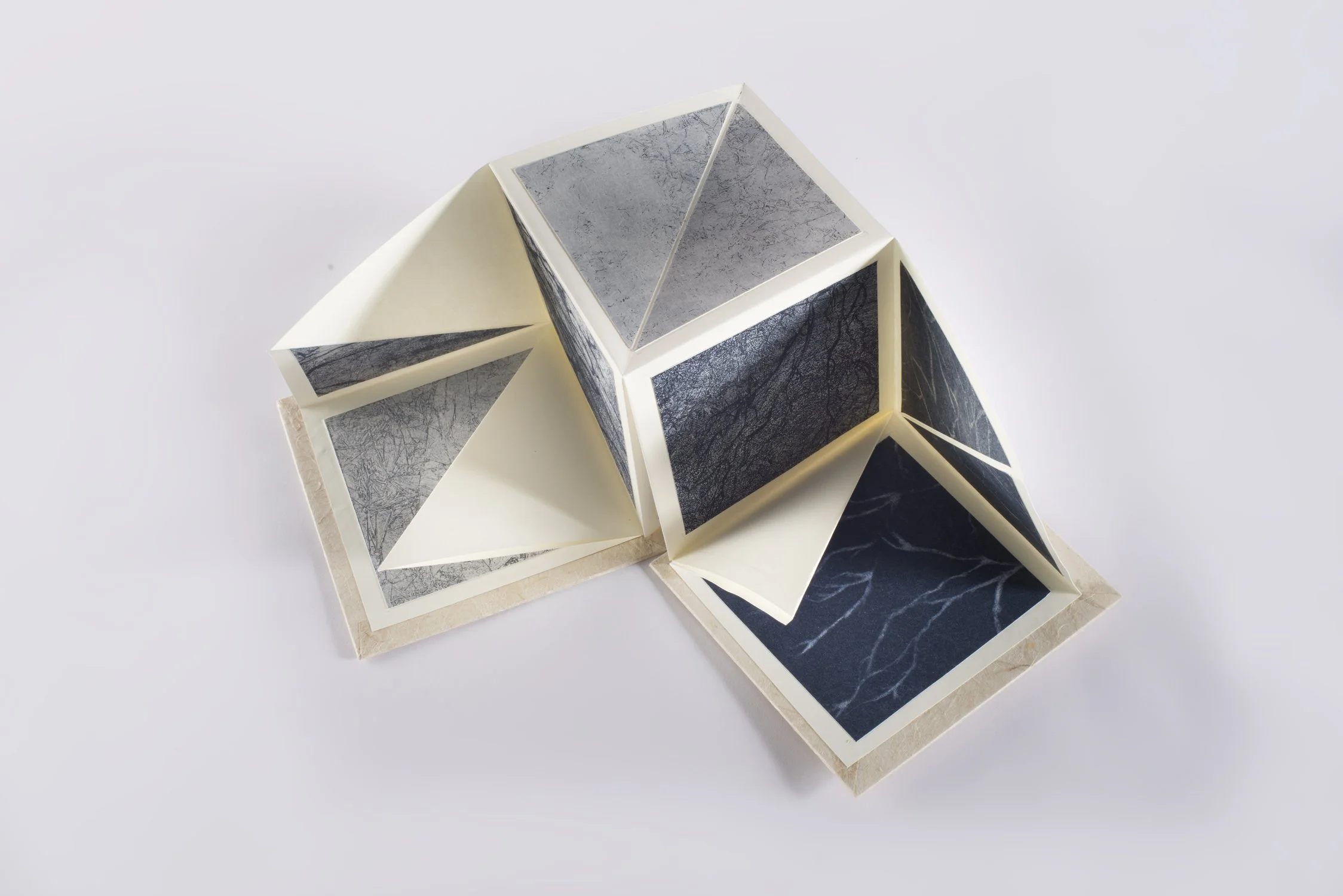Architecture mycélienne \ Gravures collées sur papier japonais. 100 sur 65cm. 2024. Photo : Eva Barton