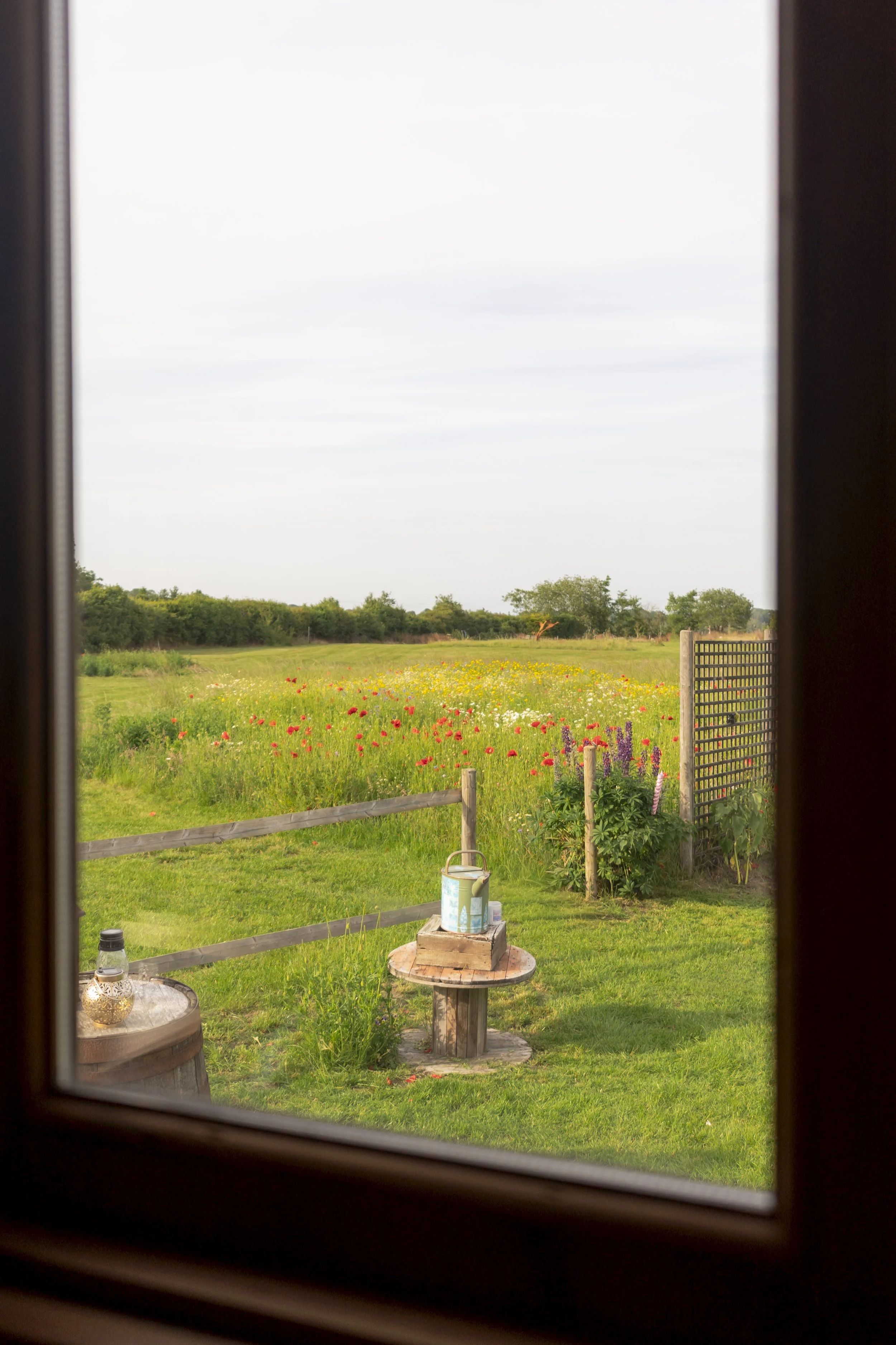 Meadowview - Magpie Magpie Photography-20.jpg