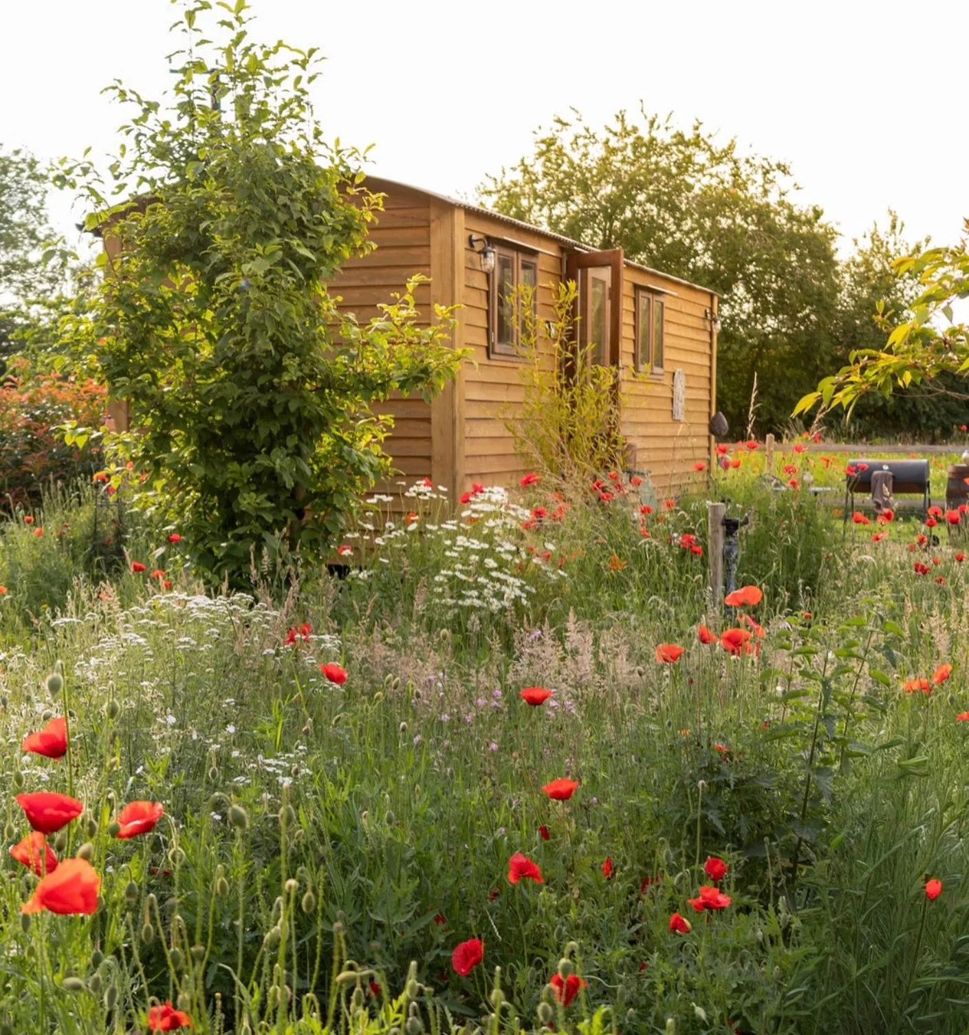 Recent project @meadow.view.glamping - beautiful huts within the peaceful Norfolk countryside surrounded by wildflowers. Absolutely stunning. 

https://meadowviewglampingsuffolk.co.uk/

Check them out. #norfolk #meadowview #propertyphotography #comme