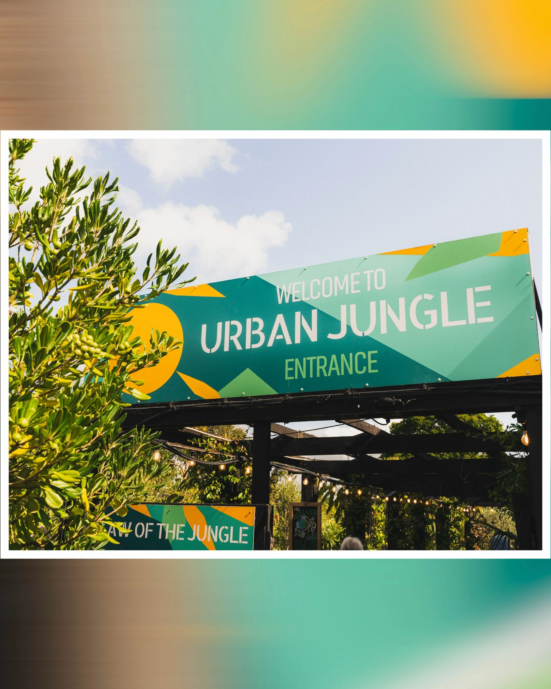 Well @urbanjungleuk_ has to be one of my favourite places to visit, I might just be here each week for a coffee so wanted to capture the place in all its glory. 

The sunlight really did land in the place and allow me to capture some great shots of t