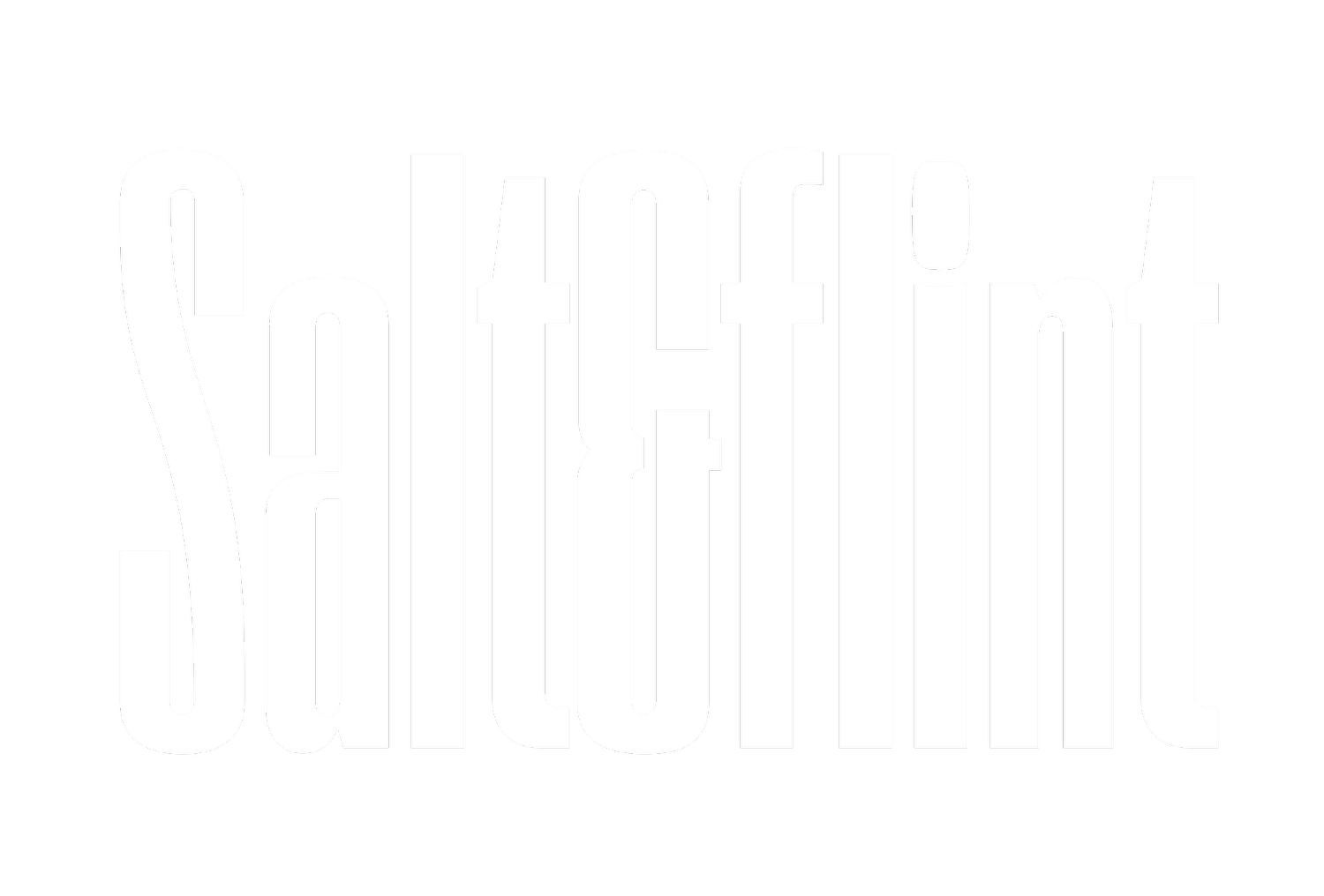 Salt and Flint Studio