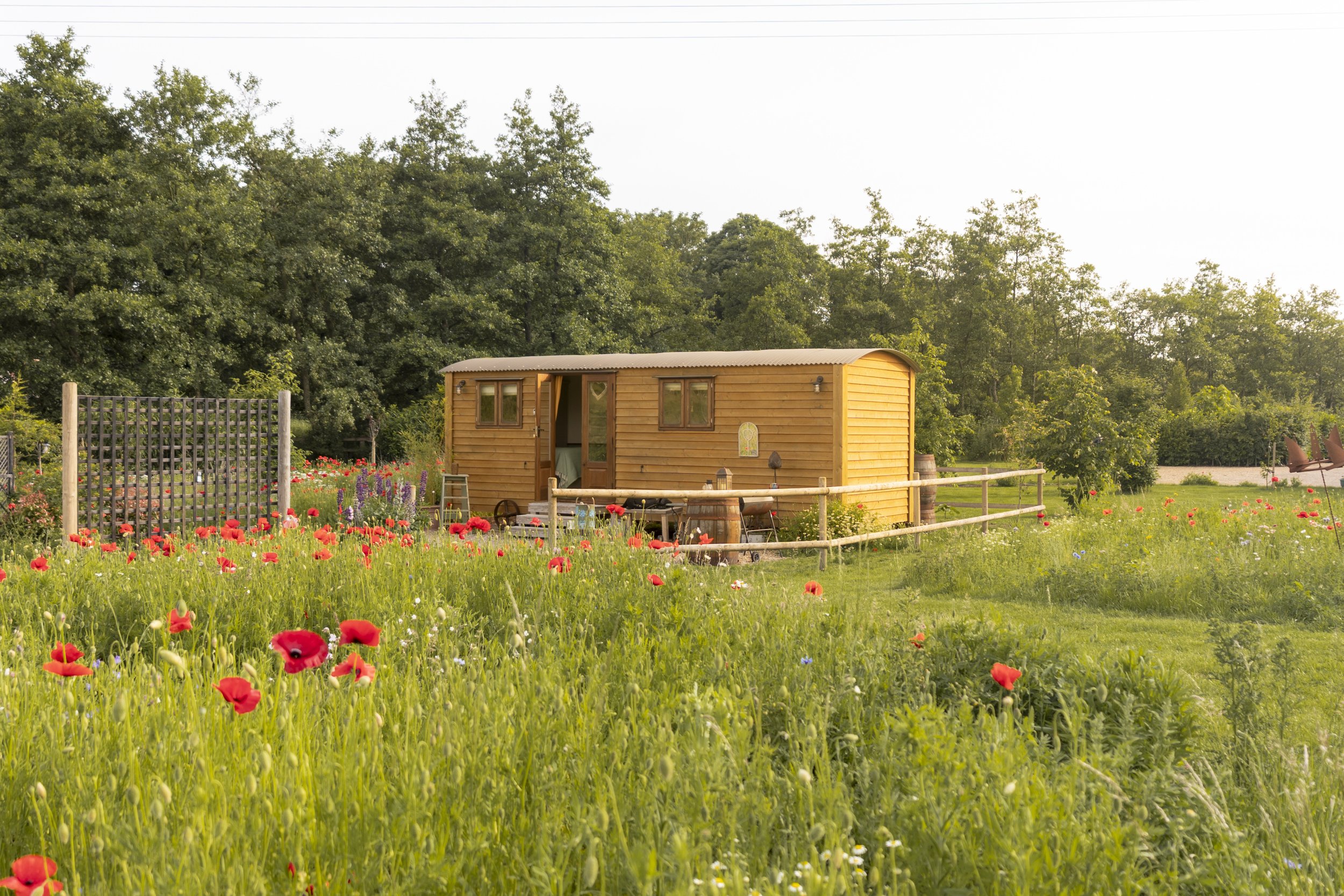 MEADOW VIEW FARM - NORFOLK