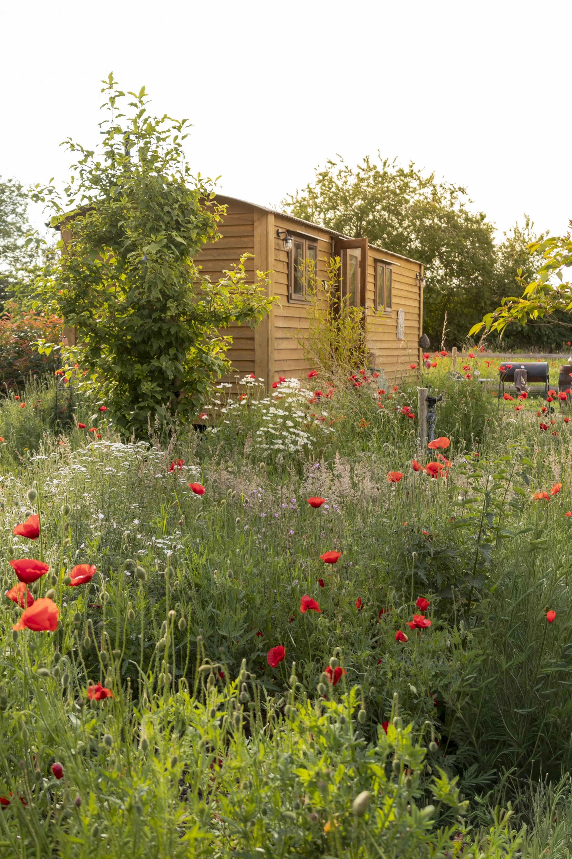 Glamping at Meadow view with open windows surrounded by a garden filled with colorful flowers, greenery, and trees in the background.