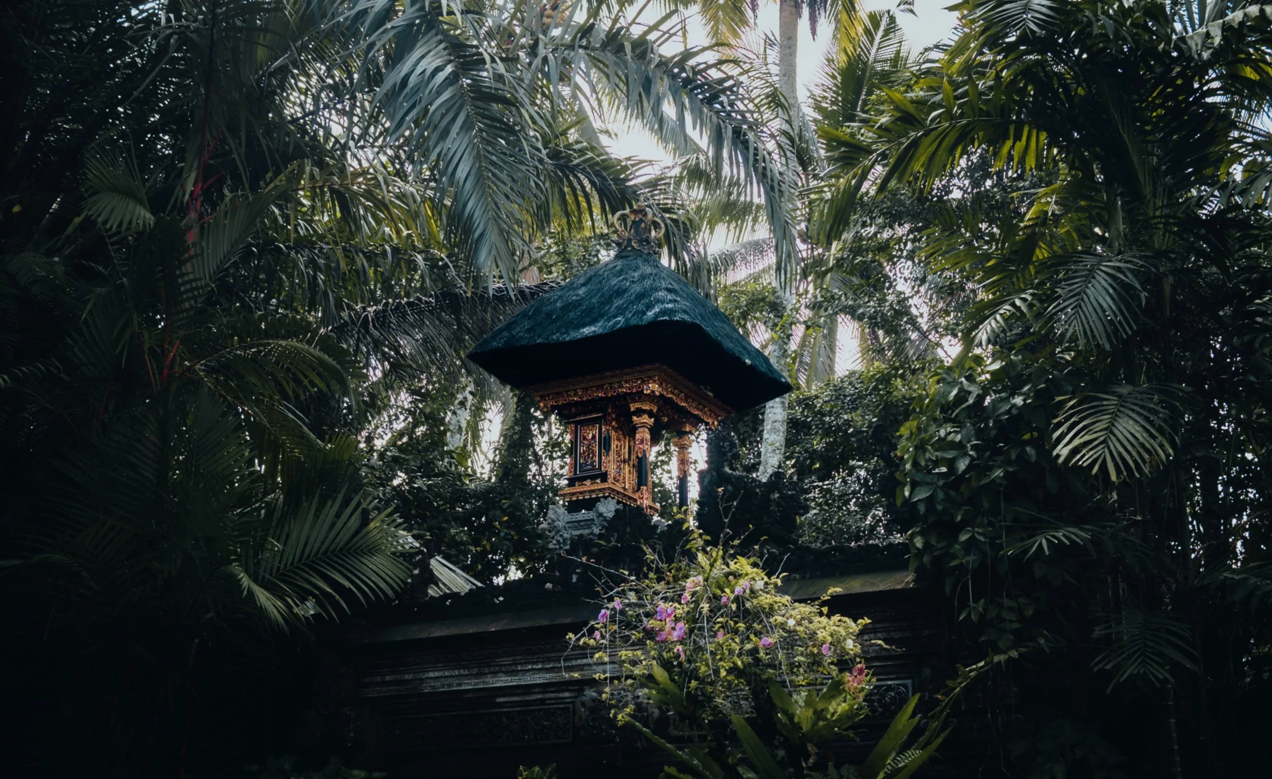 A Balinese water shrine on a rooftop surrounded by dense tropical jungle with tall palm trees.