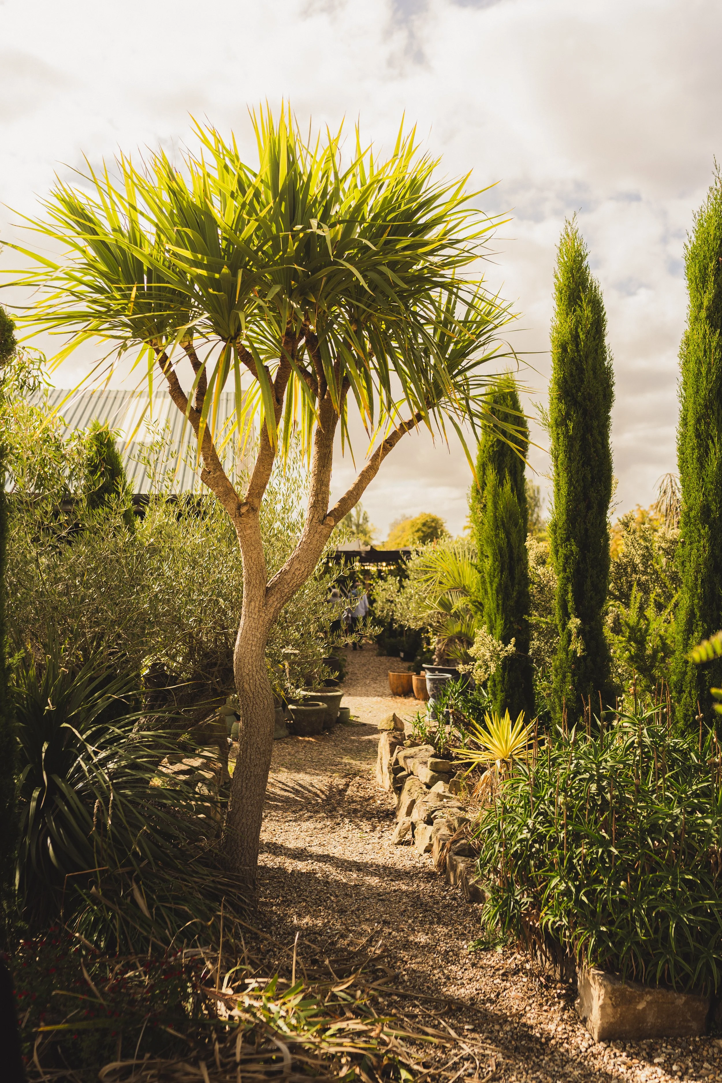 Urban Jungle - Salt and flint-19.jpg