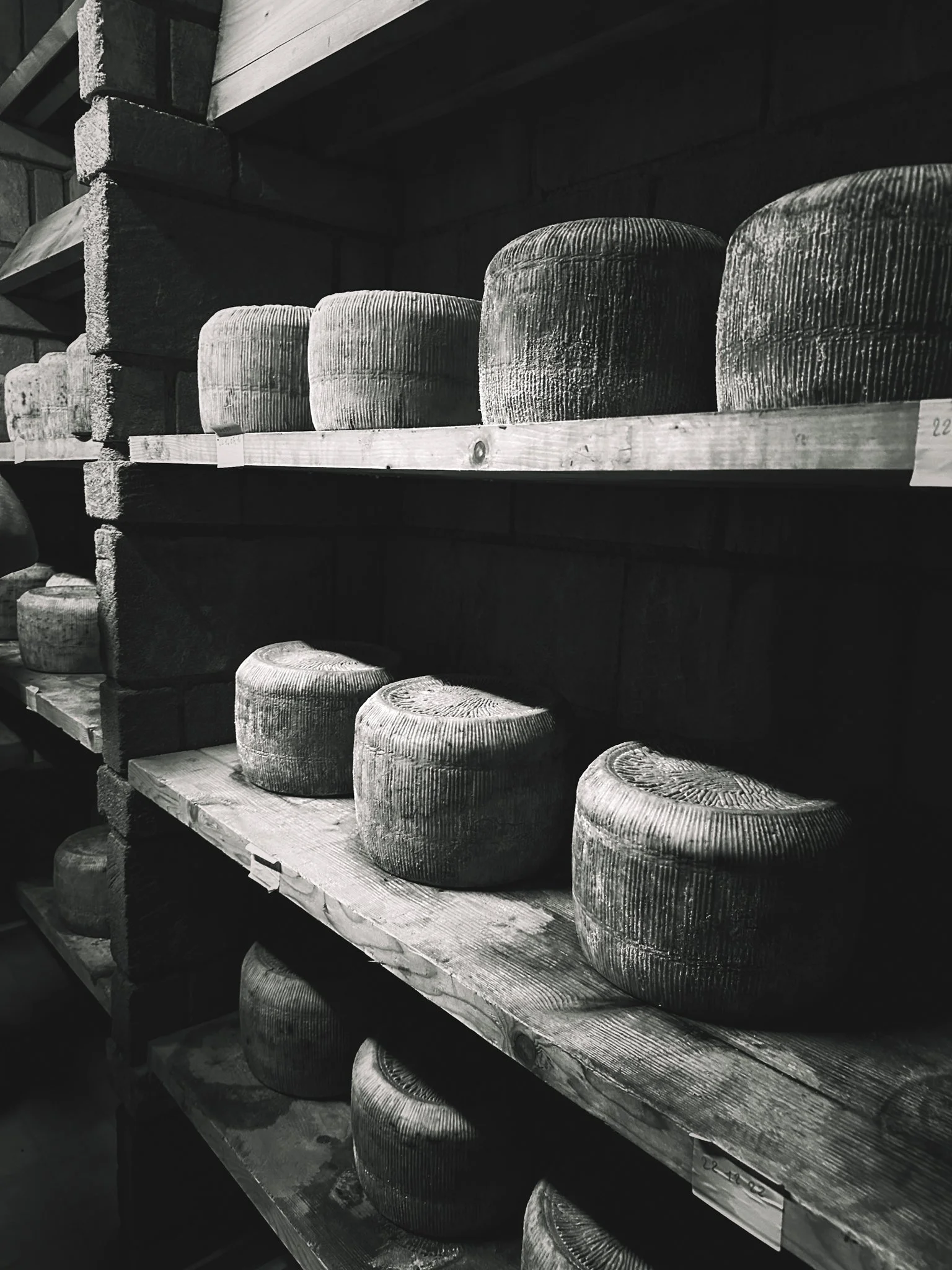 A black and white photograph of several round cheese wheels on wooden shelves, with rough textures and visible ridges, in a cheese aging room.