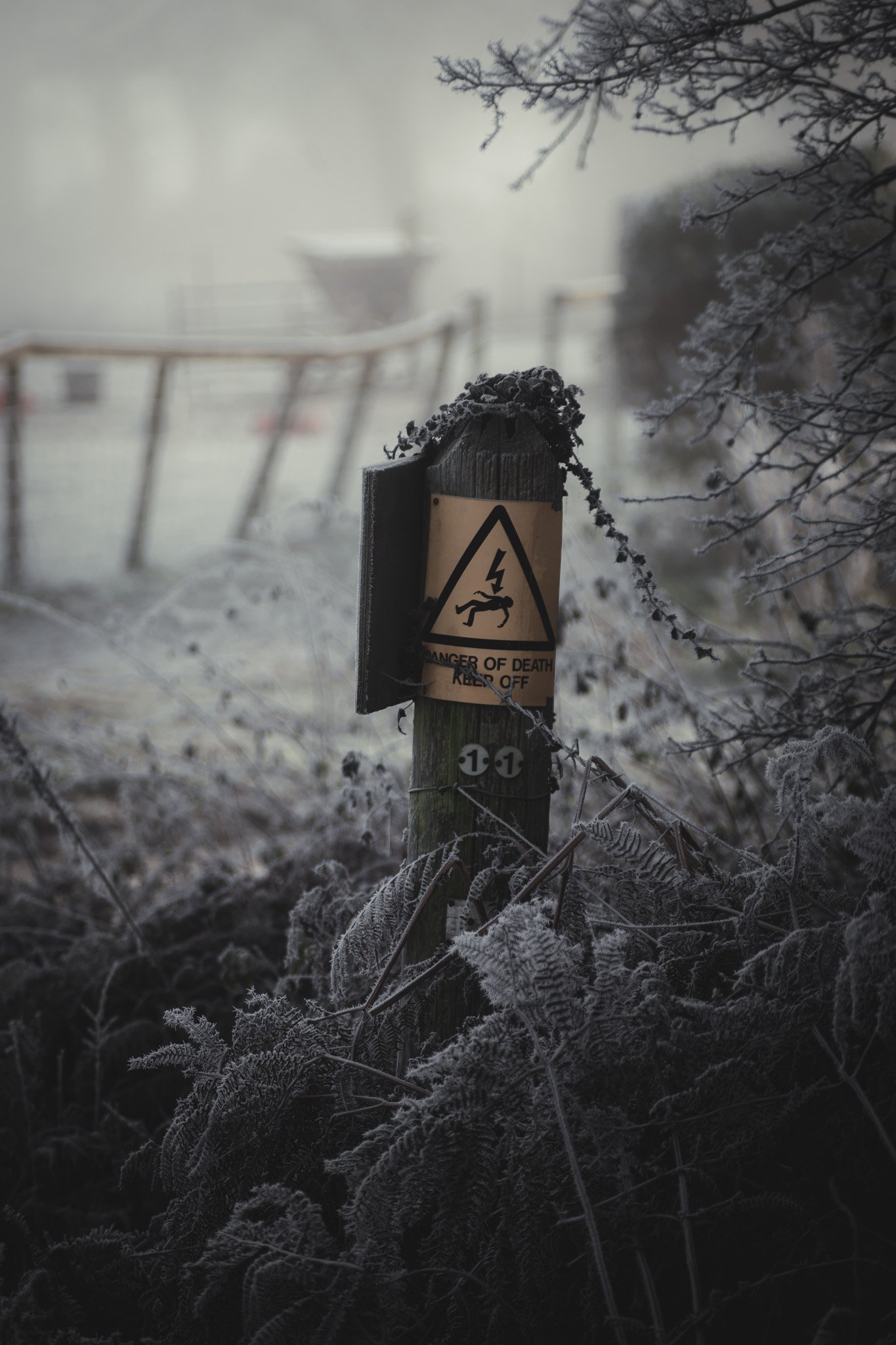Snow-covered fence post with danger of death warning sign, frost-covered plants, and a foggy or snowy background with a blurred boat or ship in the distance.