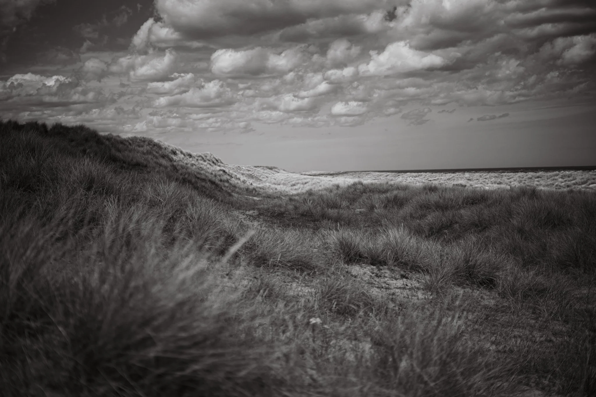 Black and white photo of a beach with sandy dunes and tall grass, cloudy sky above.