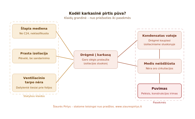 Diagrama „Kodėl karkasinė pirtis pūva": statybos klaidos — šlapia mediena, prasta izoliacija, ventiliacinio tarpo nėra — veda per drėgmę karkase iki kondensato, neišdžiūstančio medžio ir puvimo.