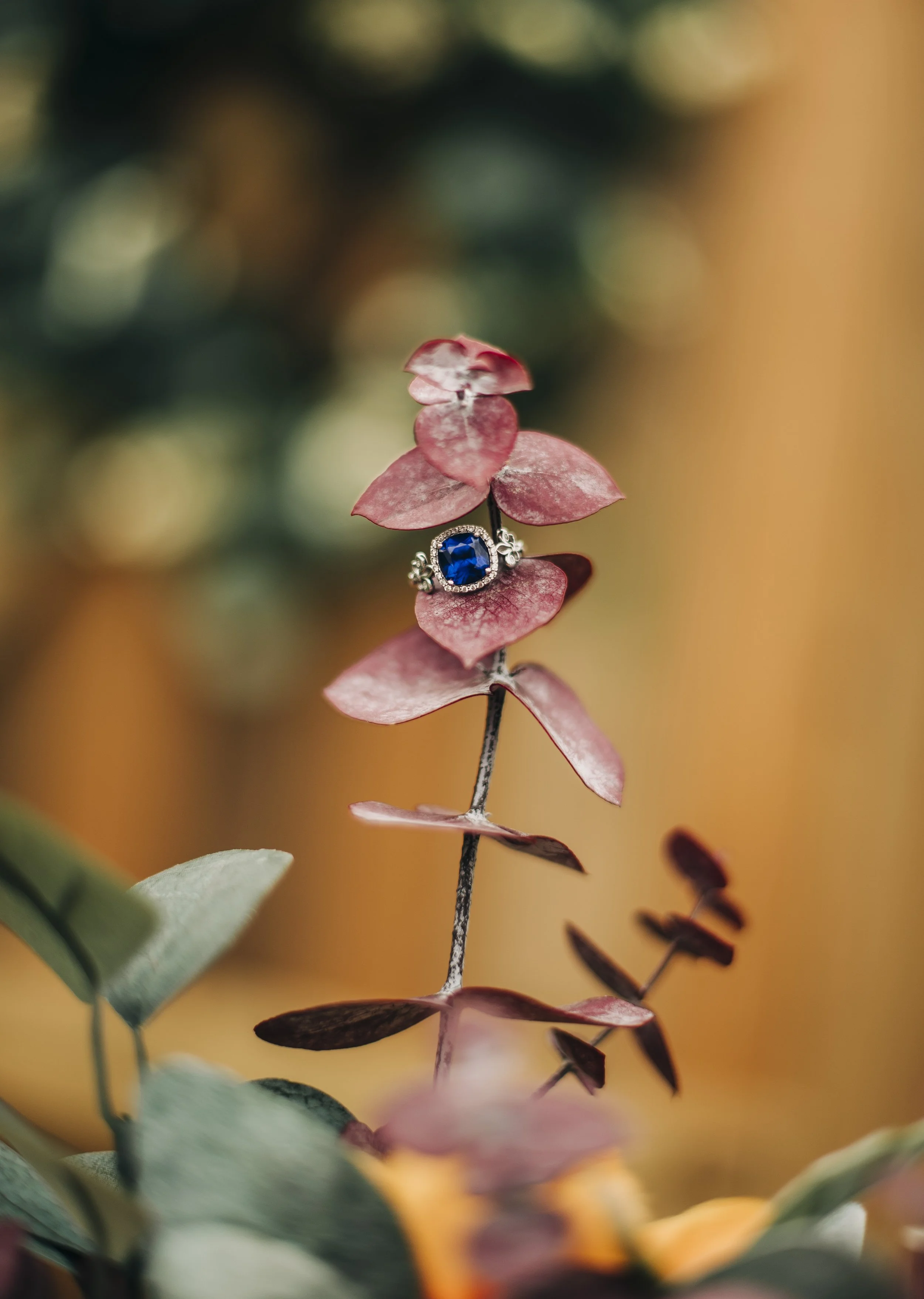 wedding-ring-detail-shot.jpg