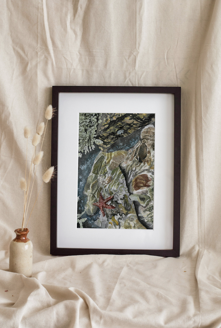 Tide Pool
