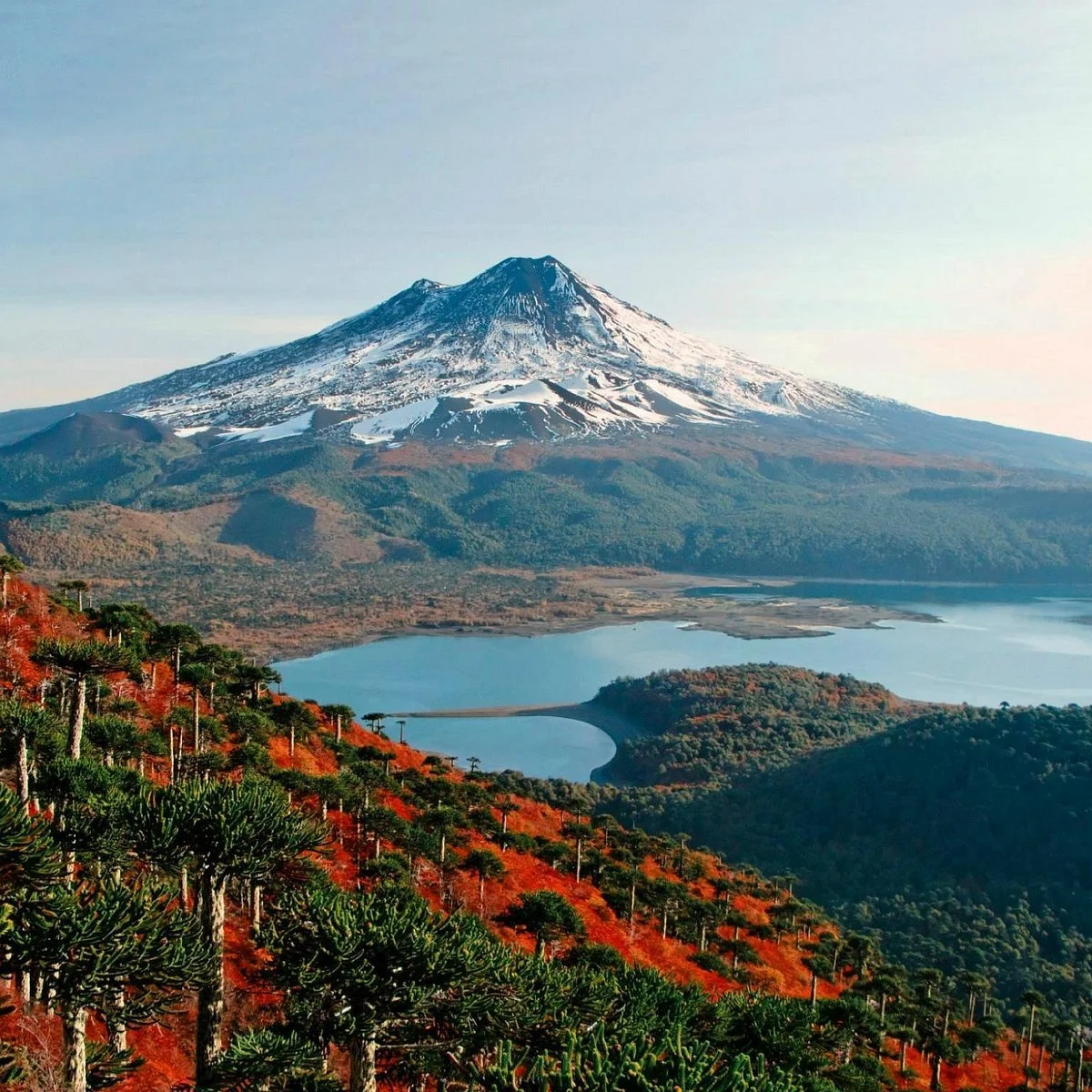 Parque Nacional conguillio en el sur de Chile