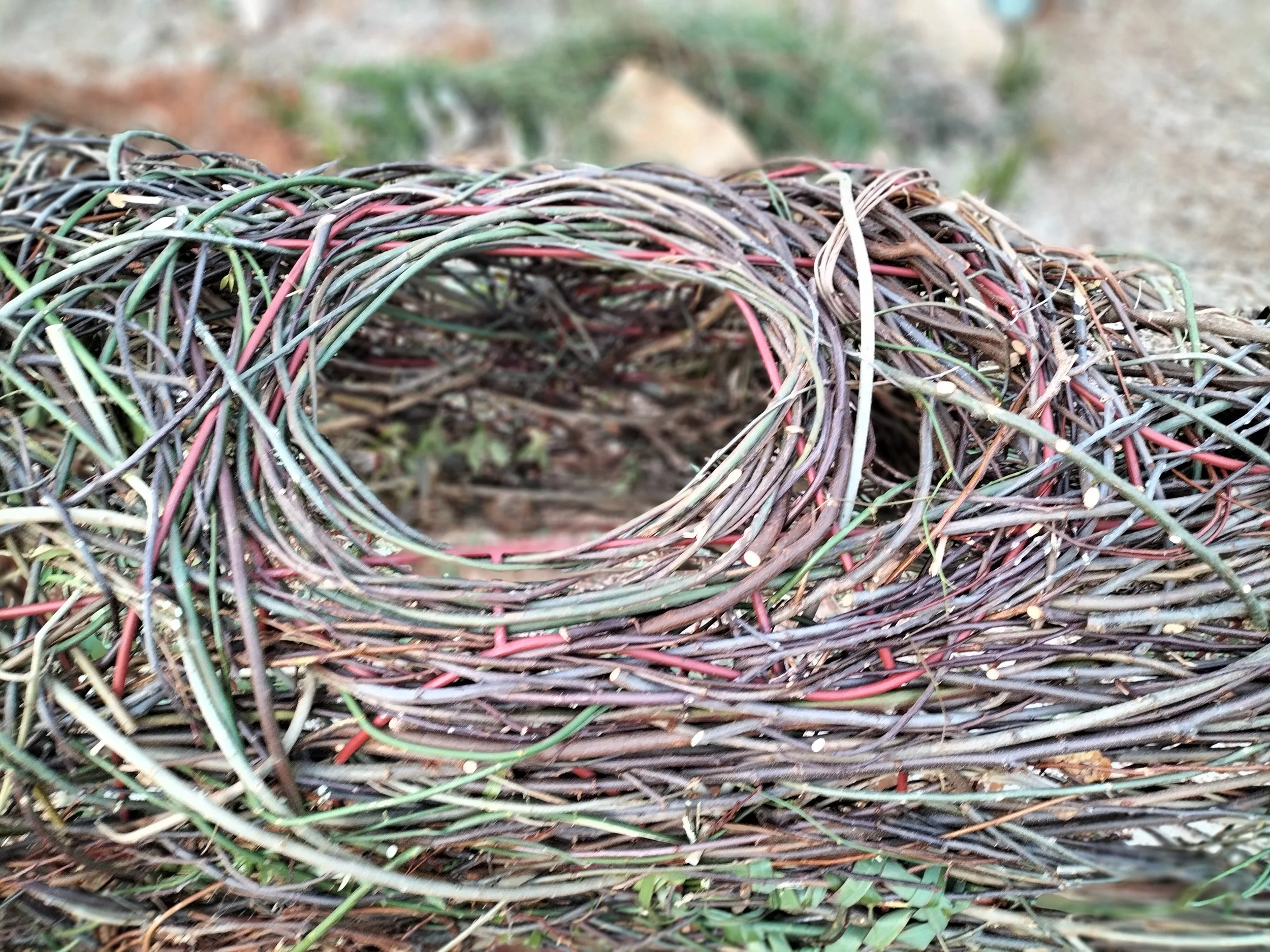 Close-up of a nest made from twigs, sticks, and grass on the ground outdoors.