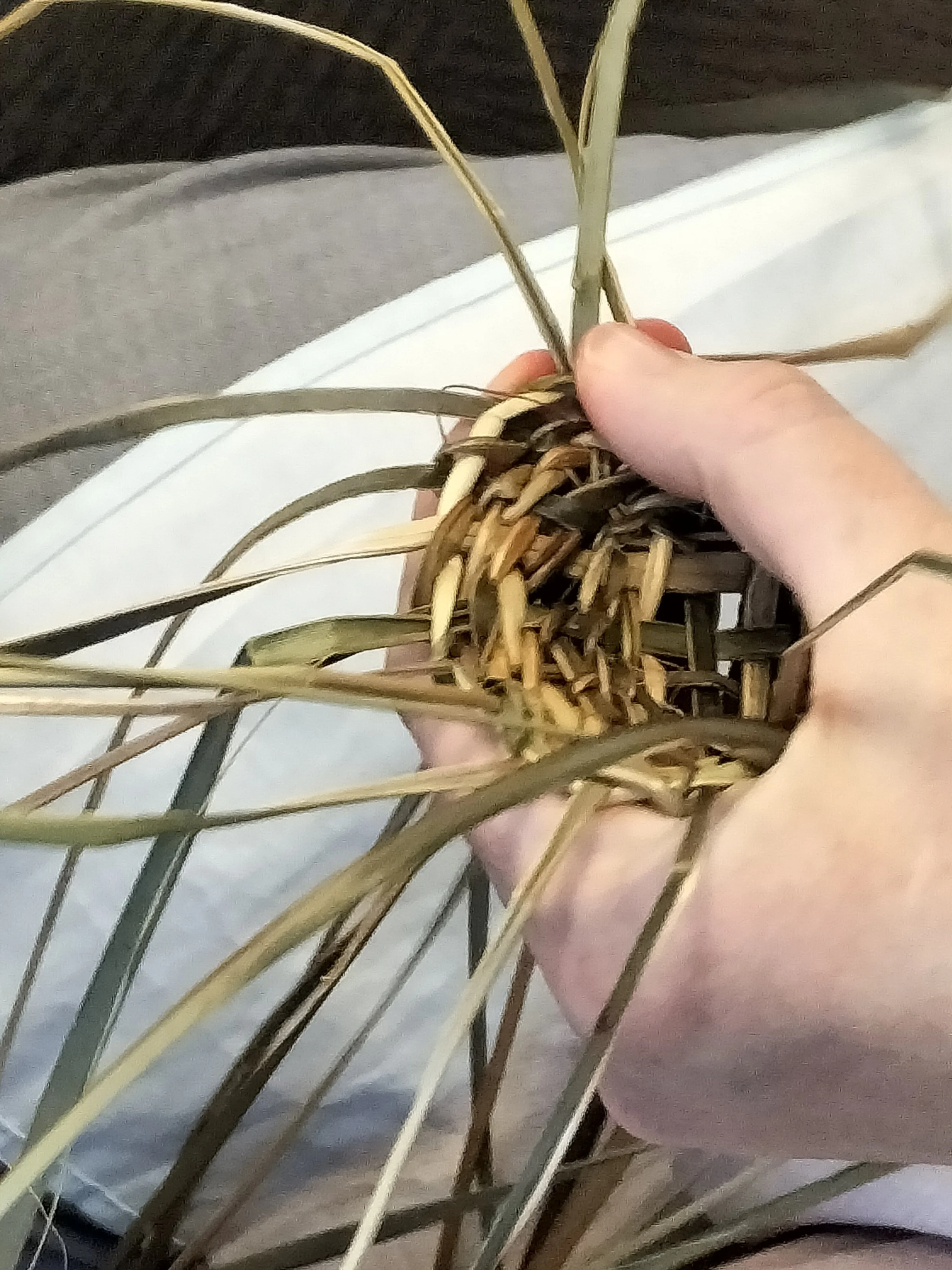 A person's hand holding a woven basket made of dried, straw-like material. The background shows blurred fabric and other indistinct objects.