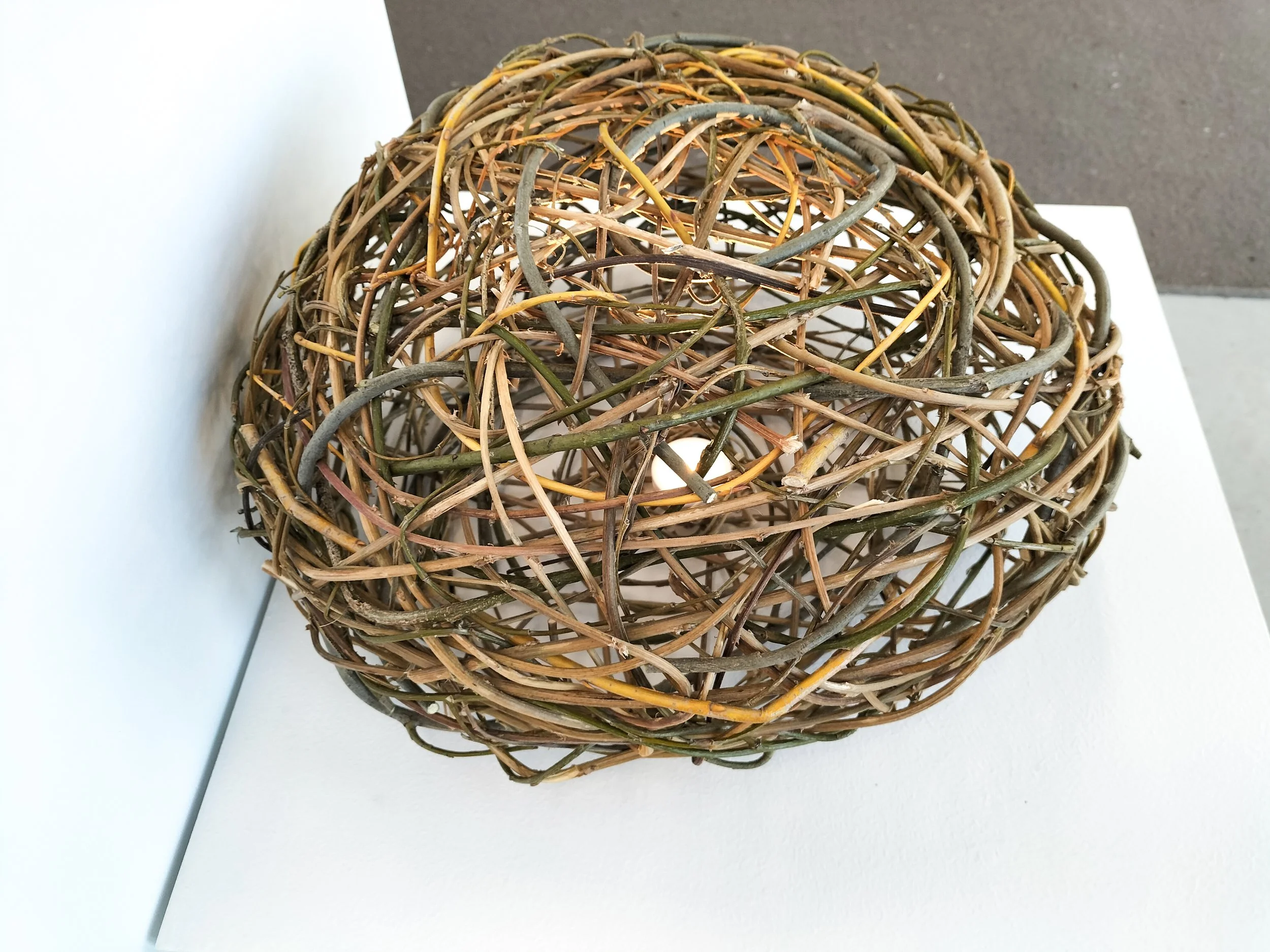 A spherical sculpture made from intertwined twigs and branches, resting on a white surface with a white background.