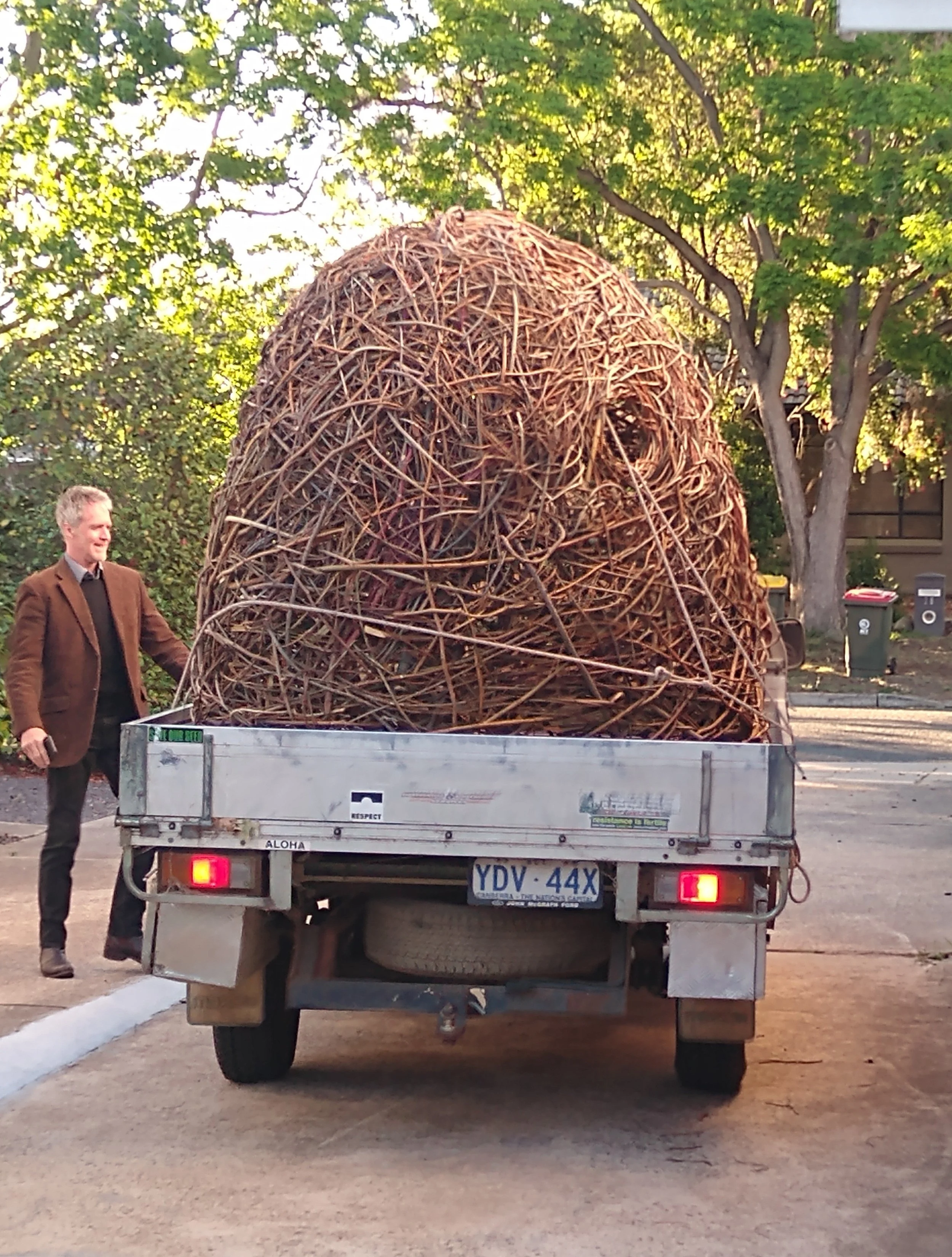 A man with grey hair in a brown blazer standing next to a truck carrying a large bird's nest made of intertwined twigs. The truck is driving away the commissioned artwork onto the street with trees with green leaves.