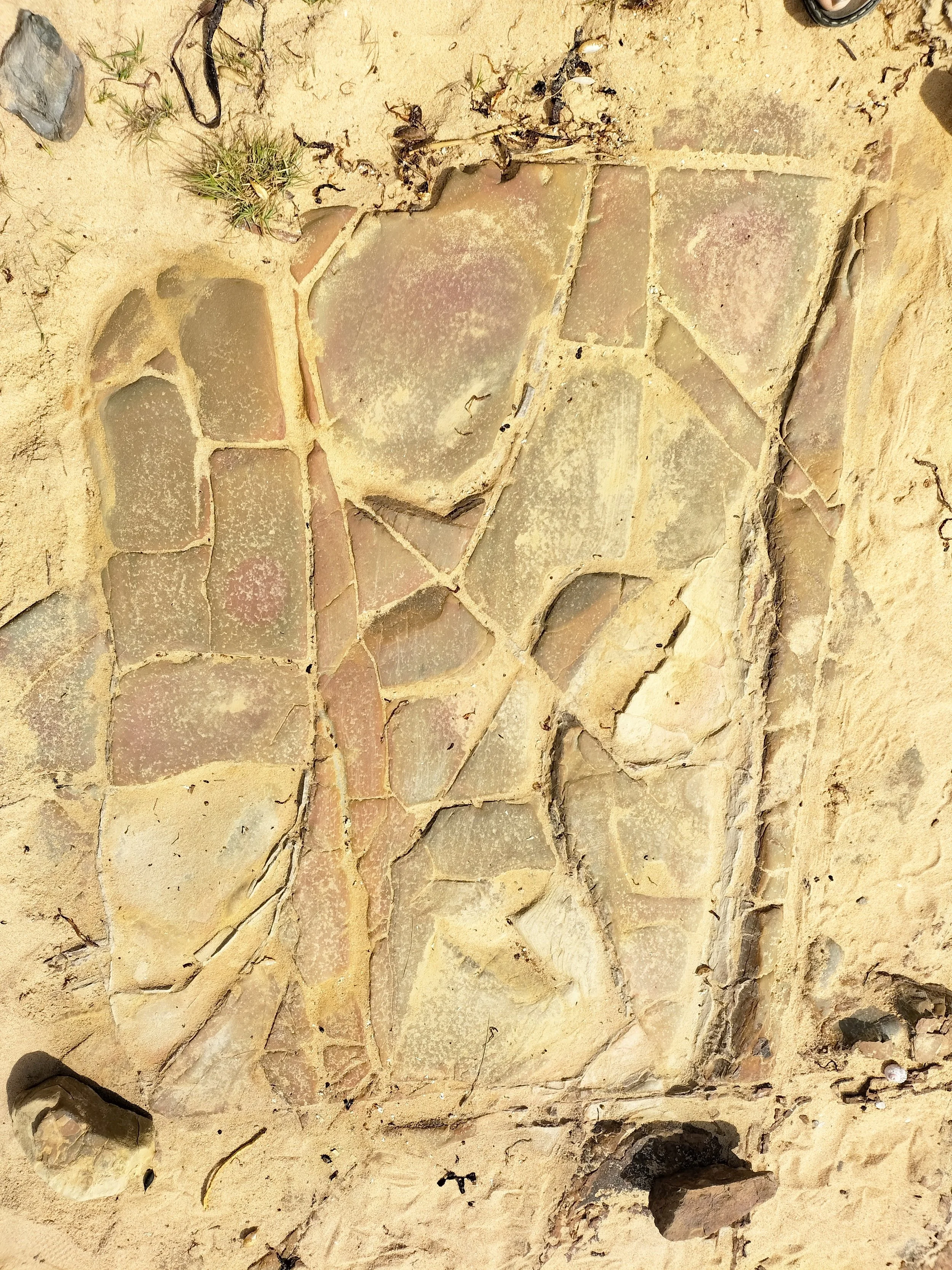 Close-up of a desert rock formation with variously shaped and colored stones embedded in the sandy ground, with some small plants and twigs scattered around.