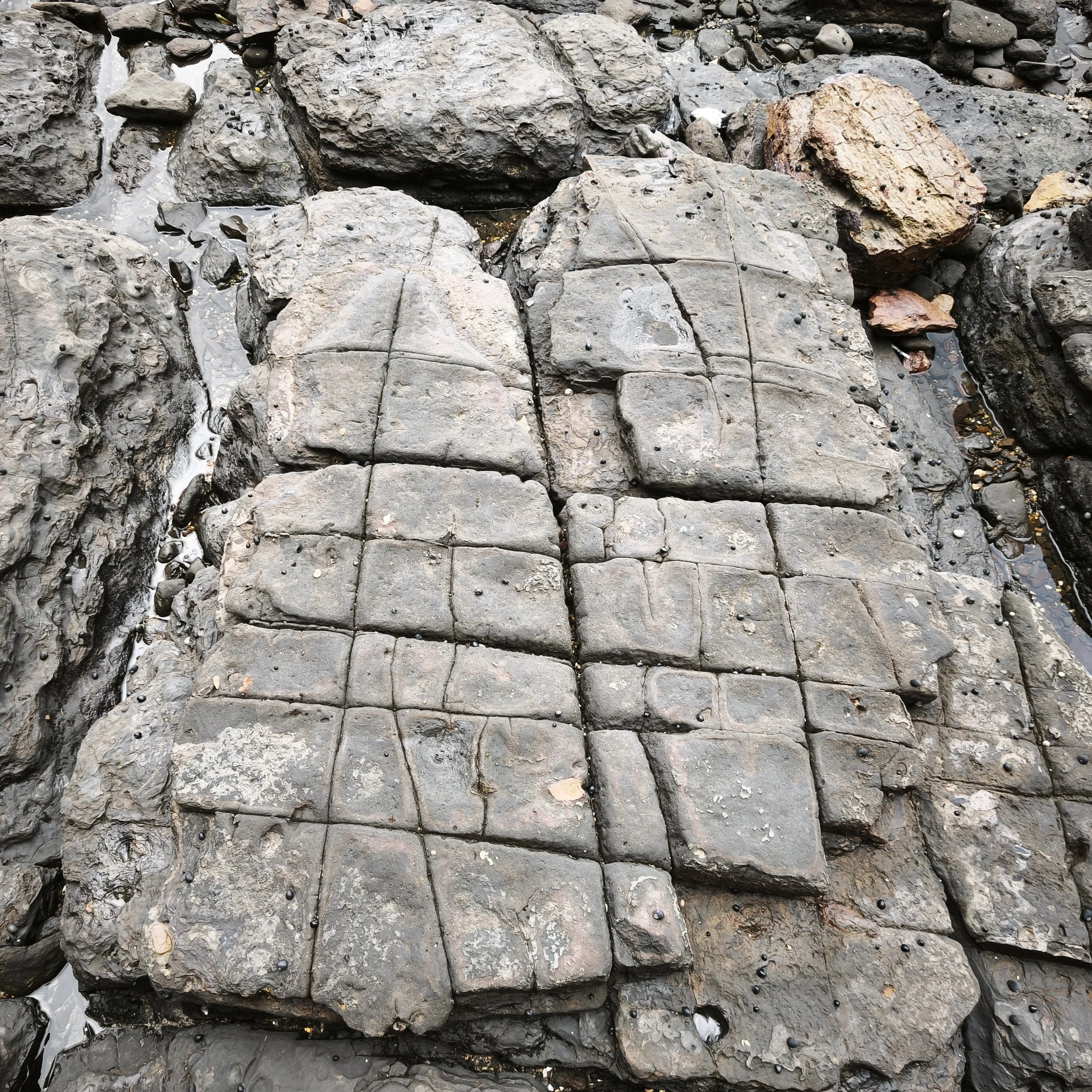 Close-up photo of wet, dark gray and brown rocks on a shoreline, with small black pebbles and water visible between and around the rocks.