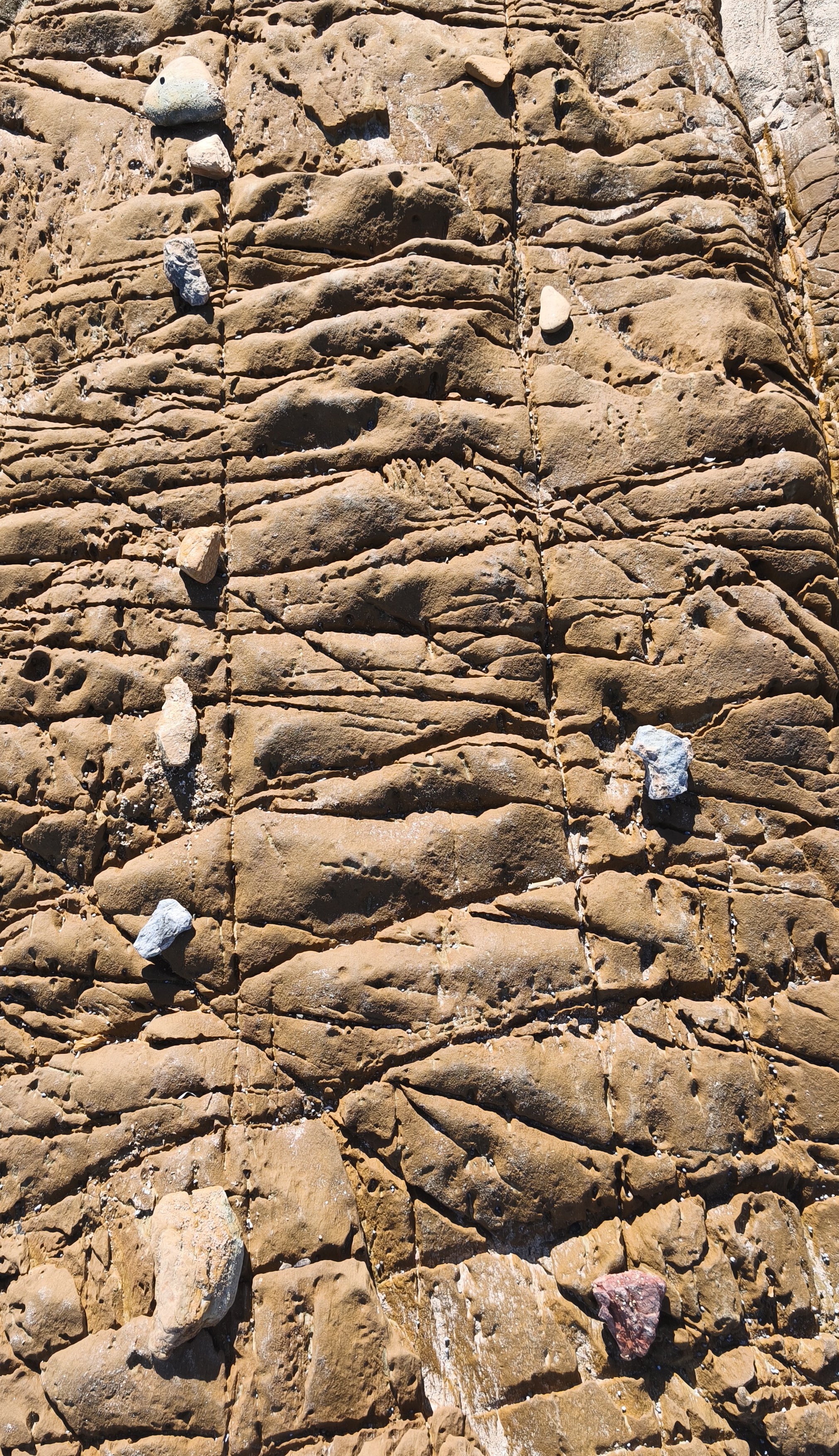 Close-up view of a rocky surface with brown, layered, and textured rocks, some small white and gray stones scattered throughout.