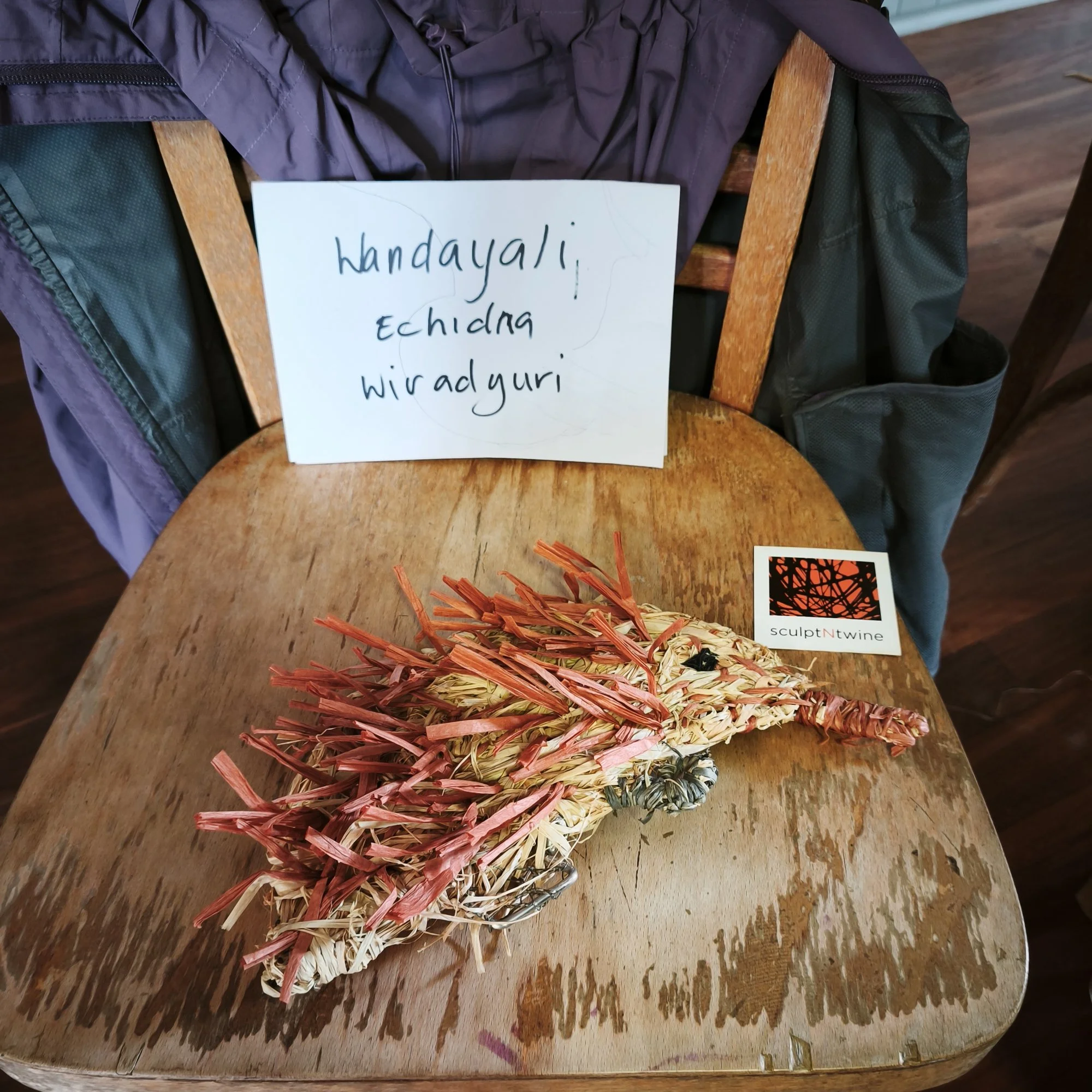 A woven echidna sculpture made of raffia and coloured with orange, black, and beige. It is placed on a wooden chair next to a white sign and a computer mouse pad. The background shows a wooden floor and part of a chair.
