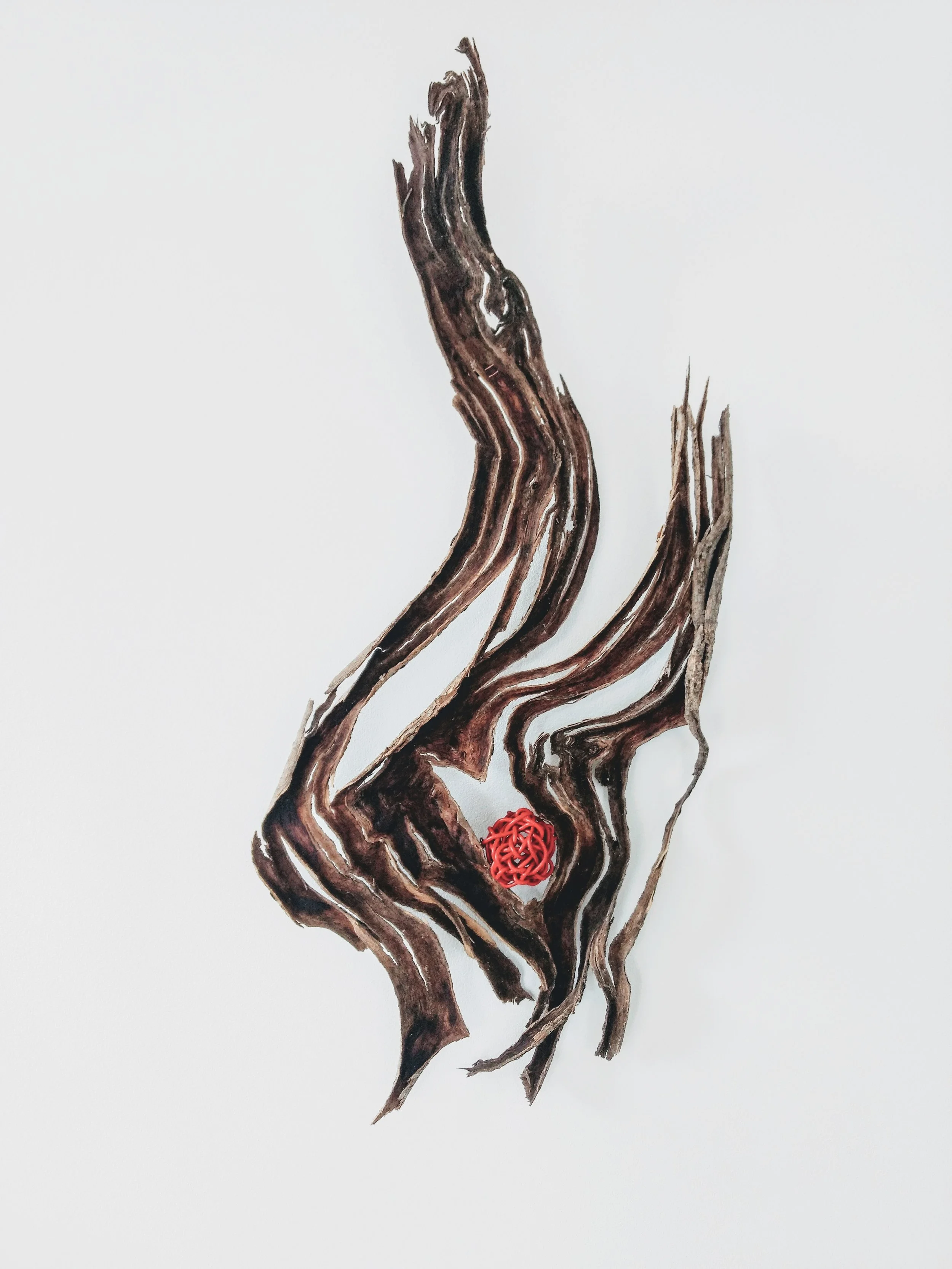 A twisted, gnarled piece of wood or bark on a white background with a small red spherical object near the base