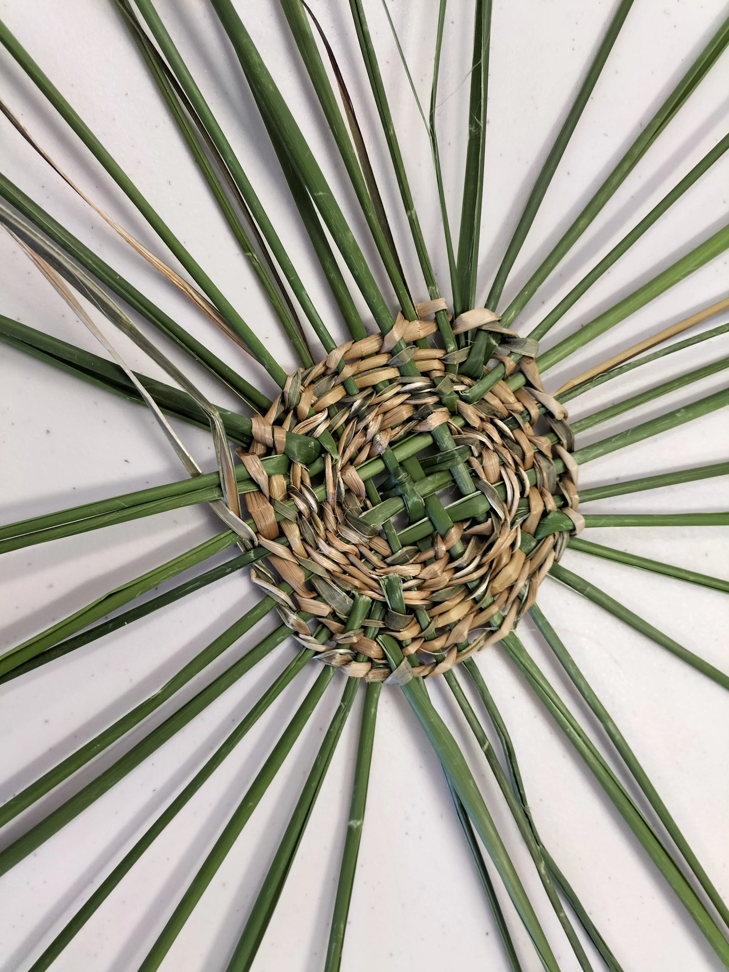 Close-up of the beginning of a woven palm leaf basket with green fibres radiating outward in a fan shape from the centre.