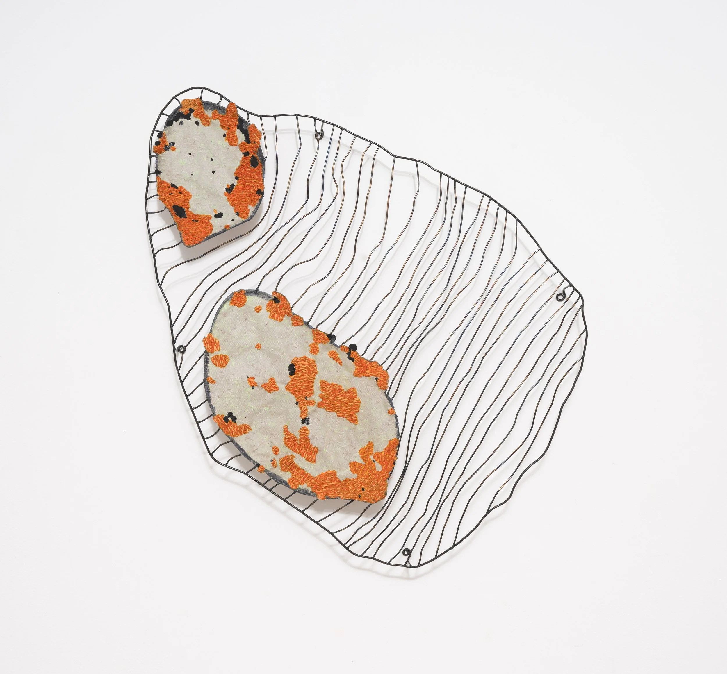 A wire cooling rack holding two slices of pizza with a gray crust, orange cheese, black and orange toppings, on a white background.