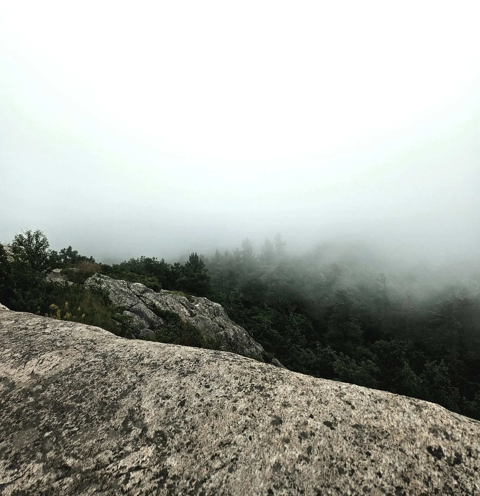 A foggy landscape with large rocks in the foreground and trees in the background.