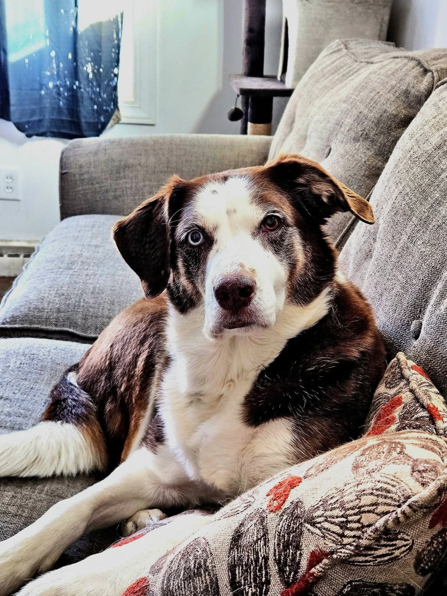 Zoey