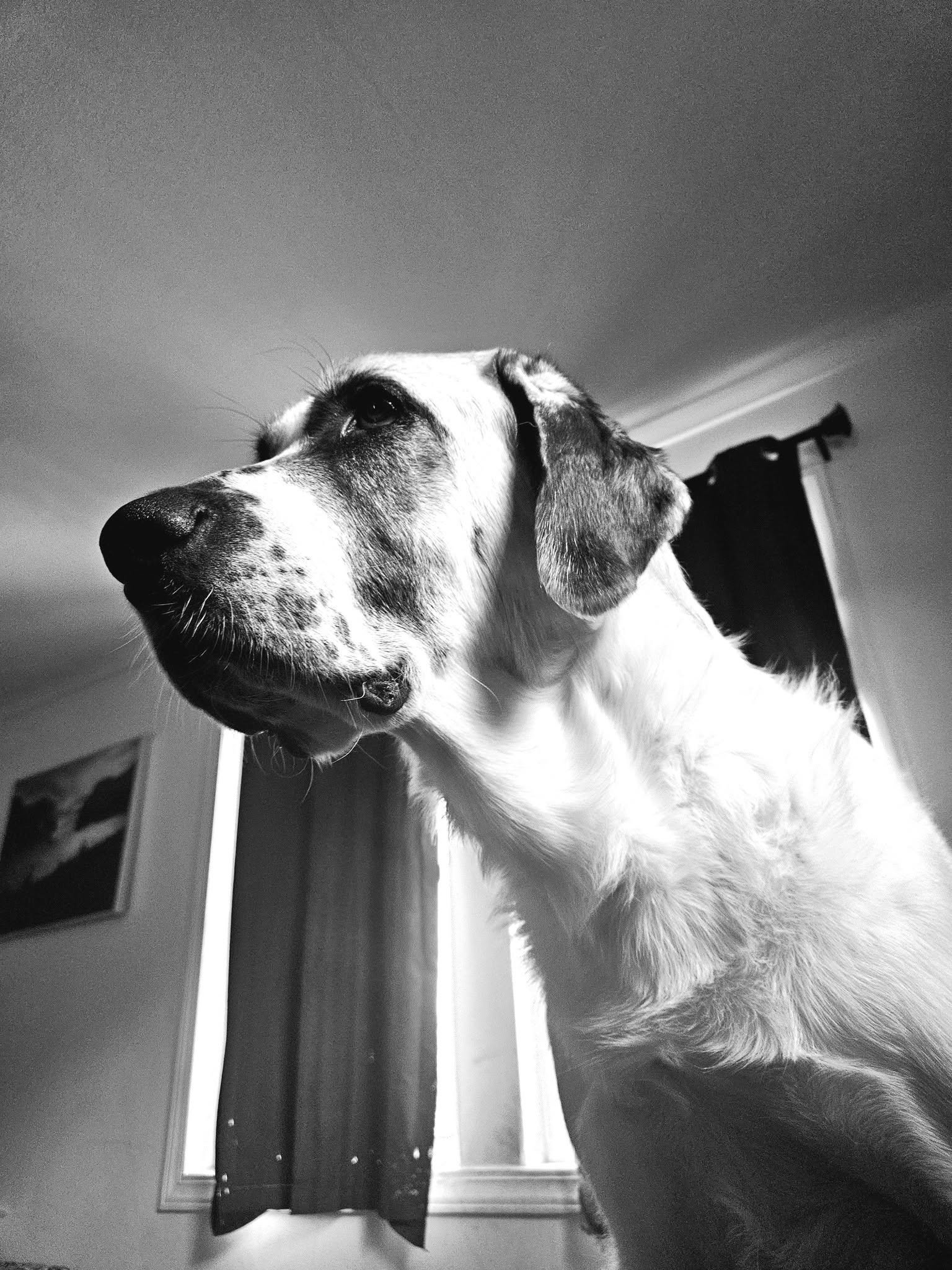 Theodore 