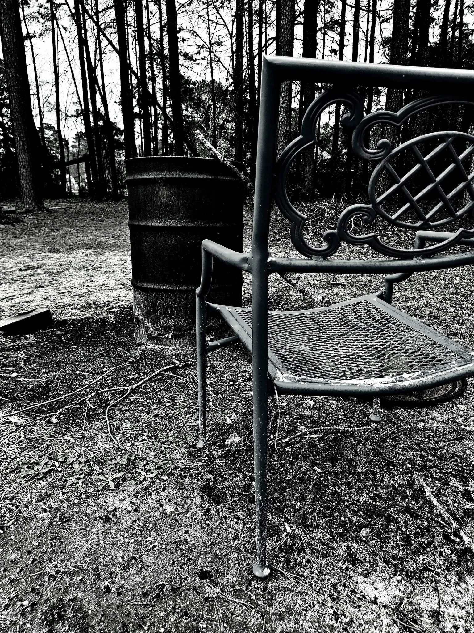 A black and white photo of a park with a metal bench and a trash can among tall trees with bare branches.