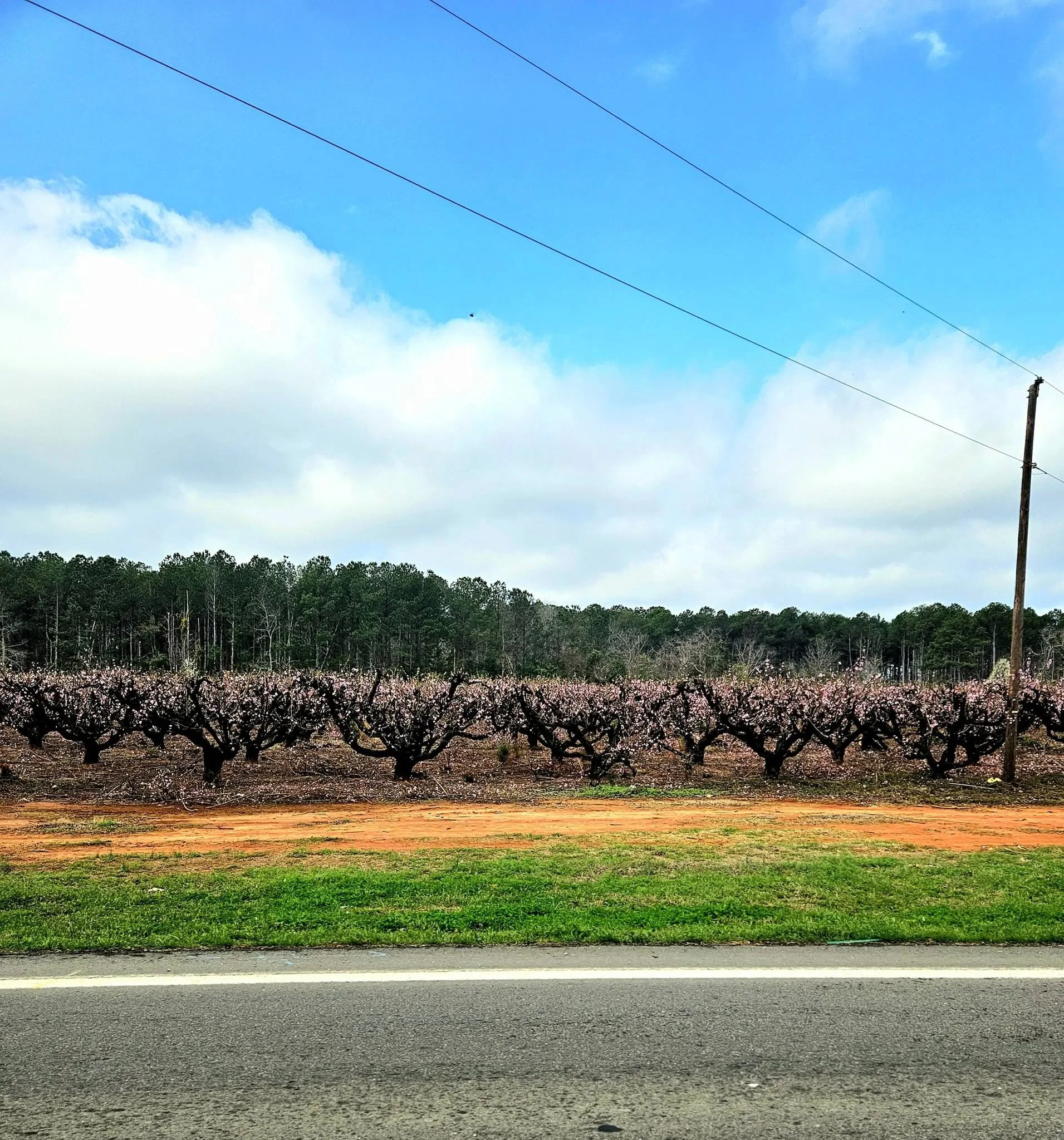South Carolina 