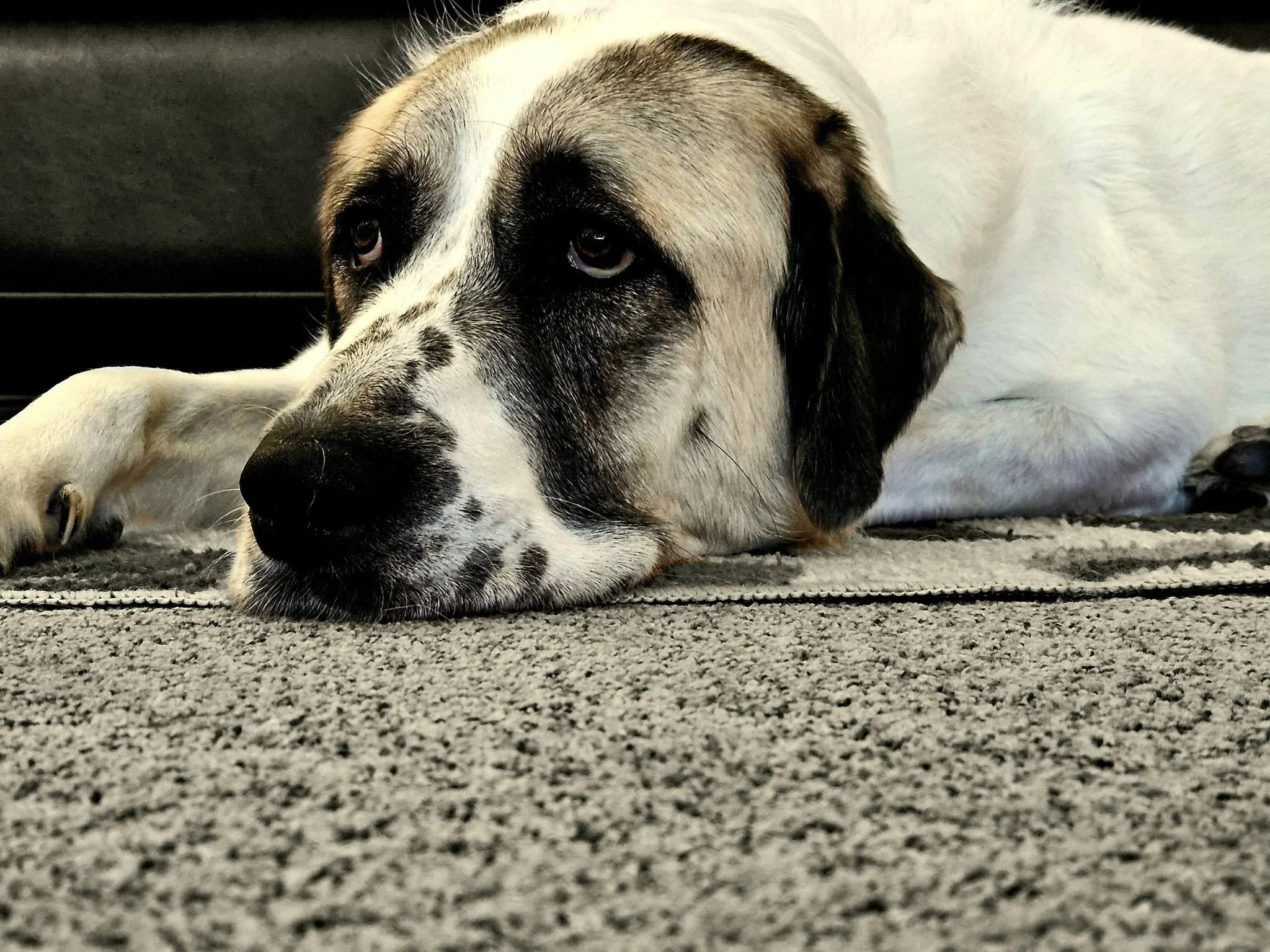 Theodore
