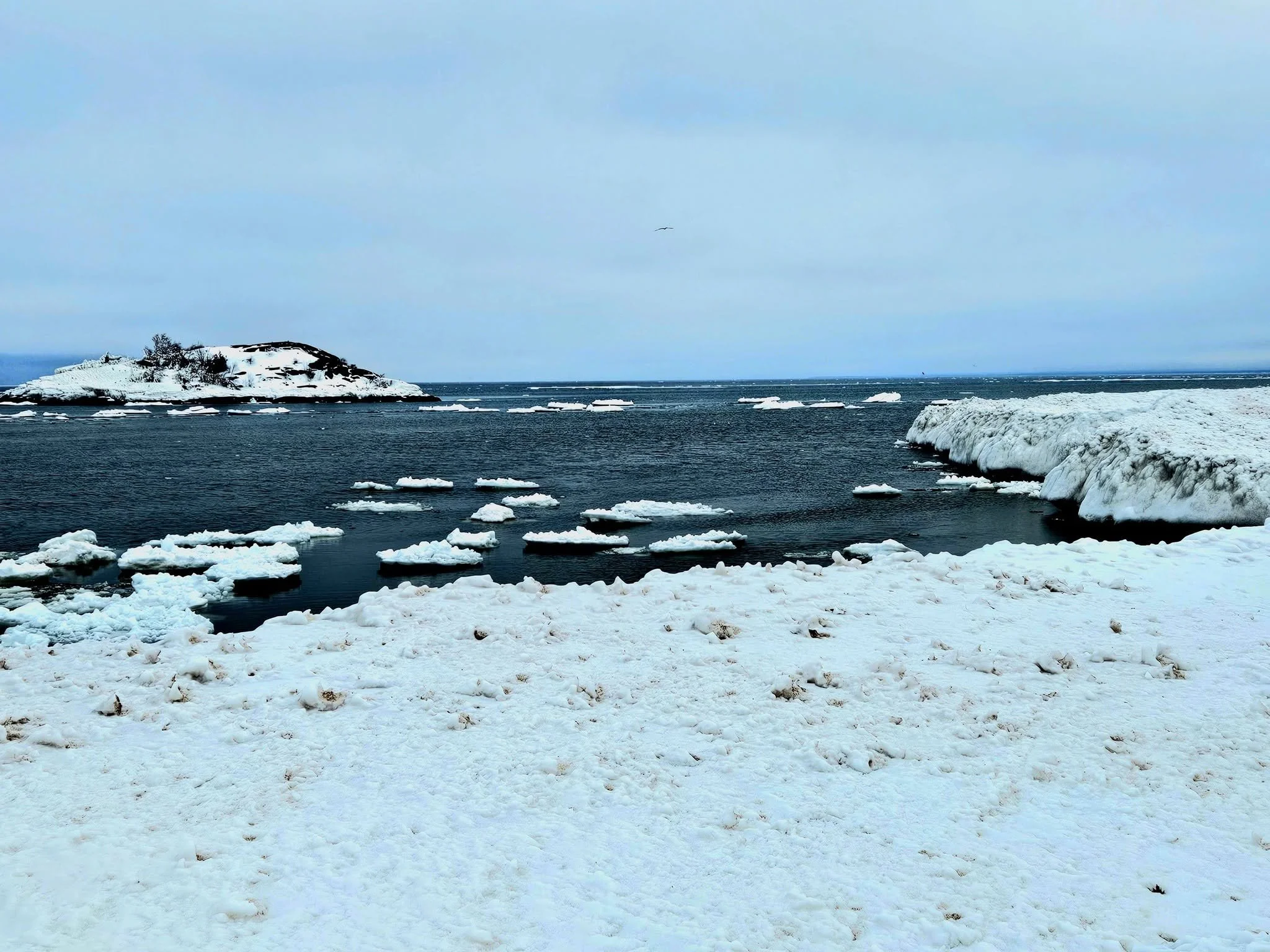 Shoreline of Lake Superior 