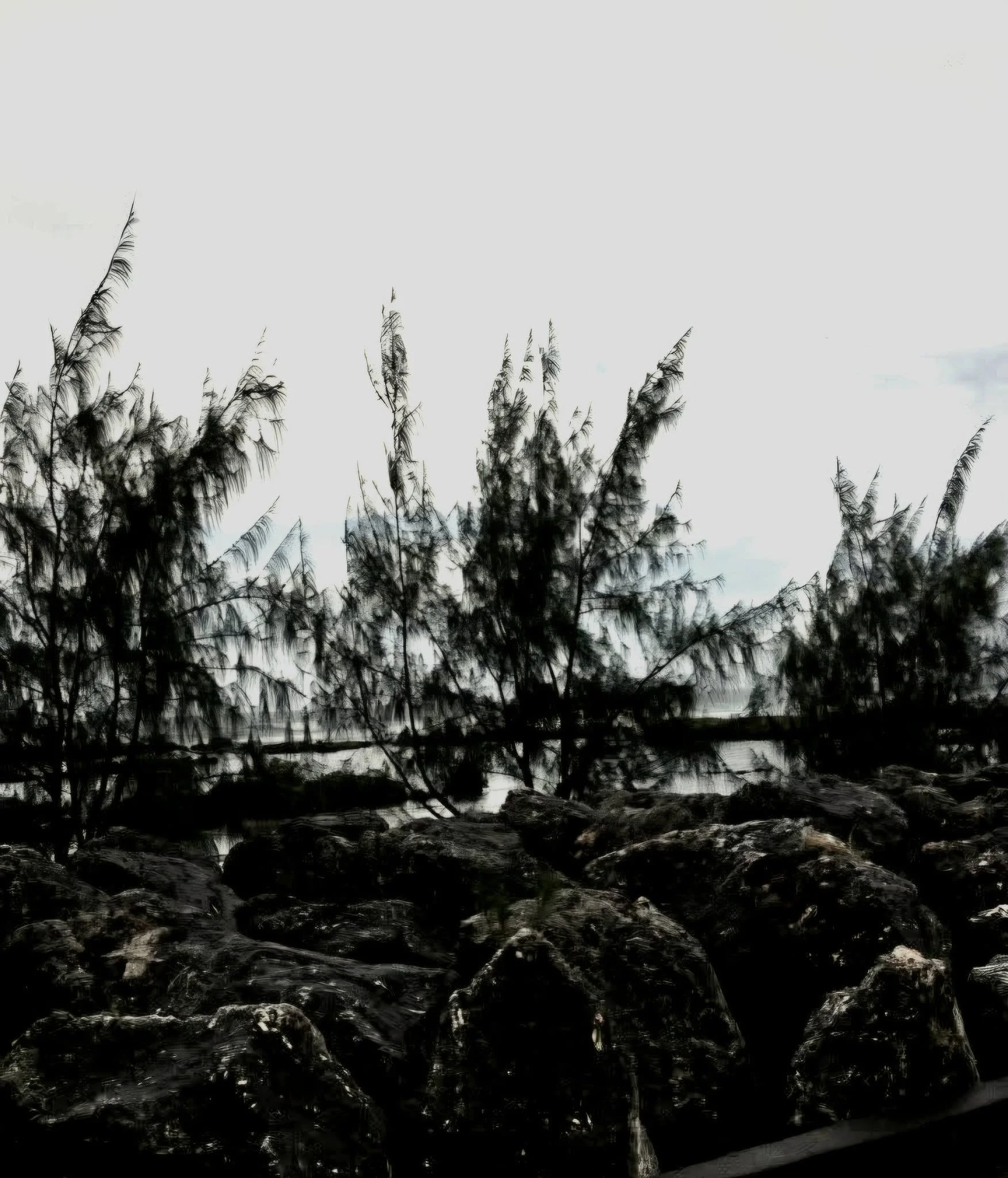 Black and white Guam