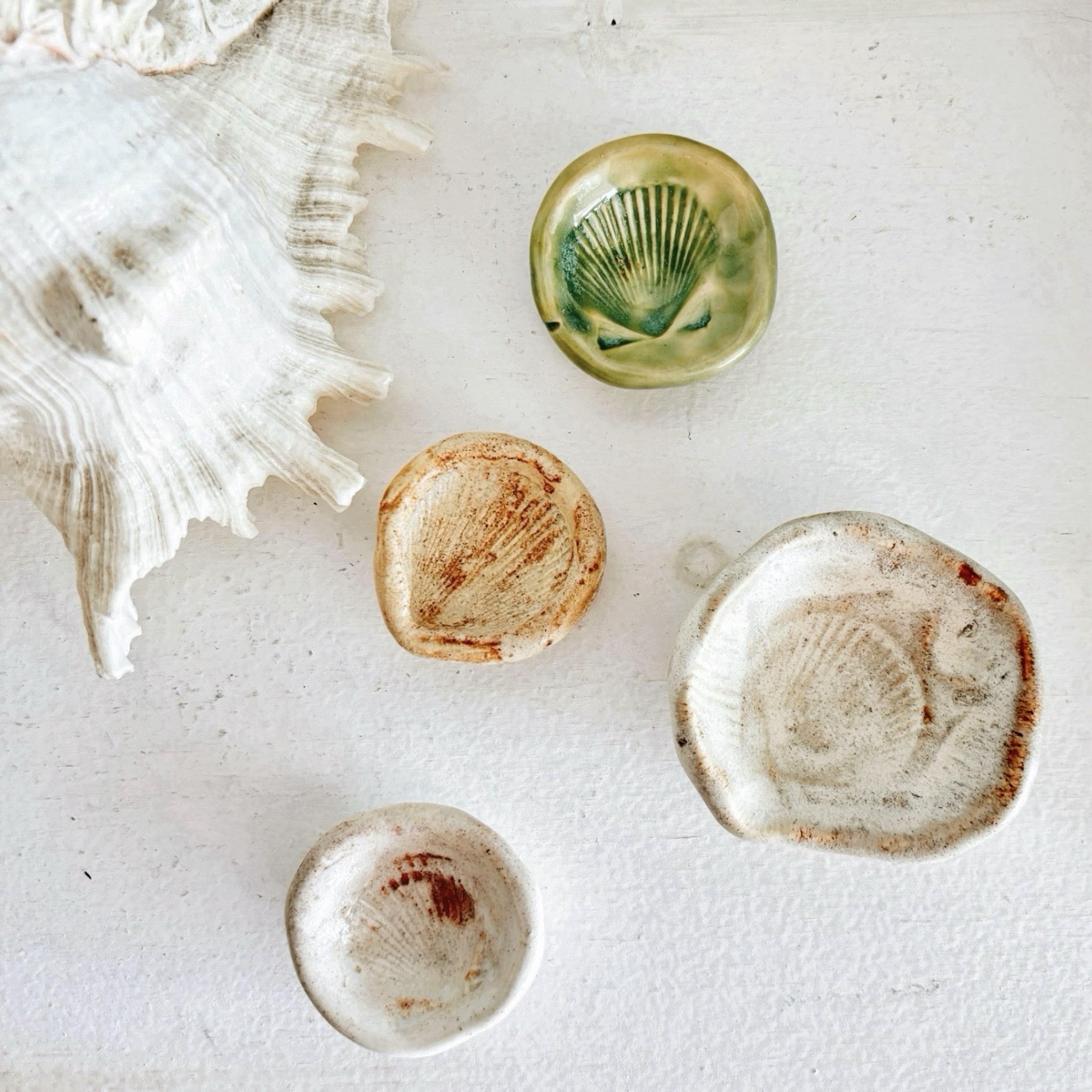 mini shells.jpg